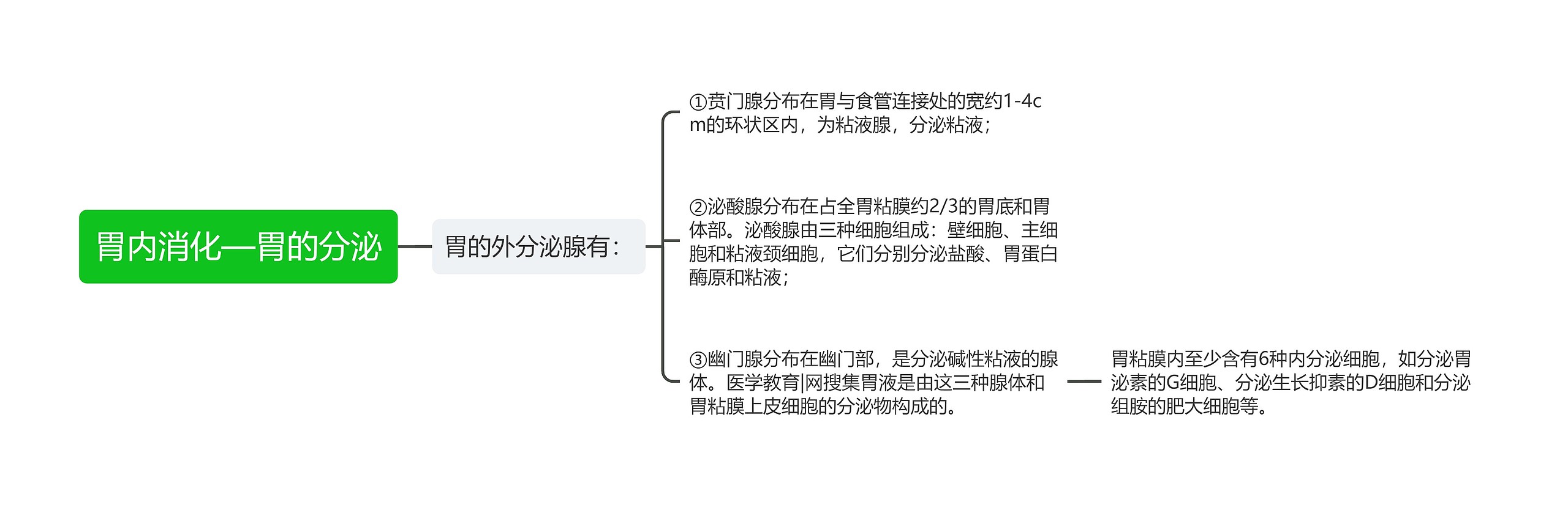 胃内消化—胃的分泌思维导图