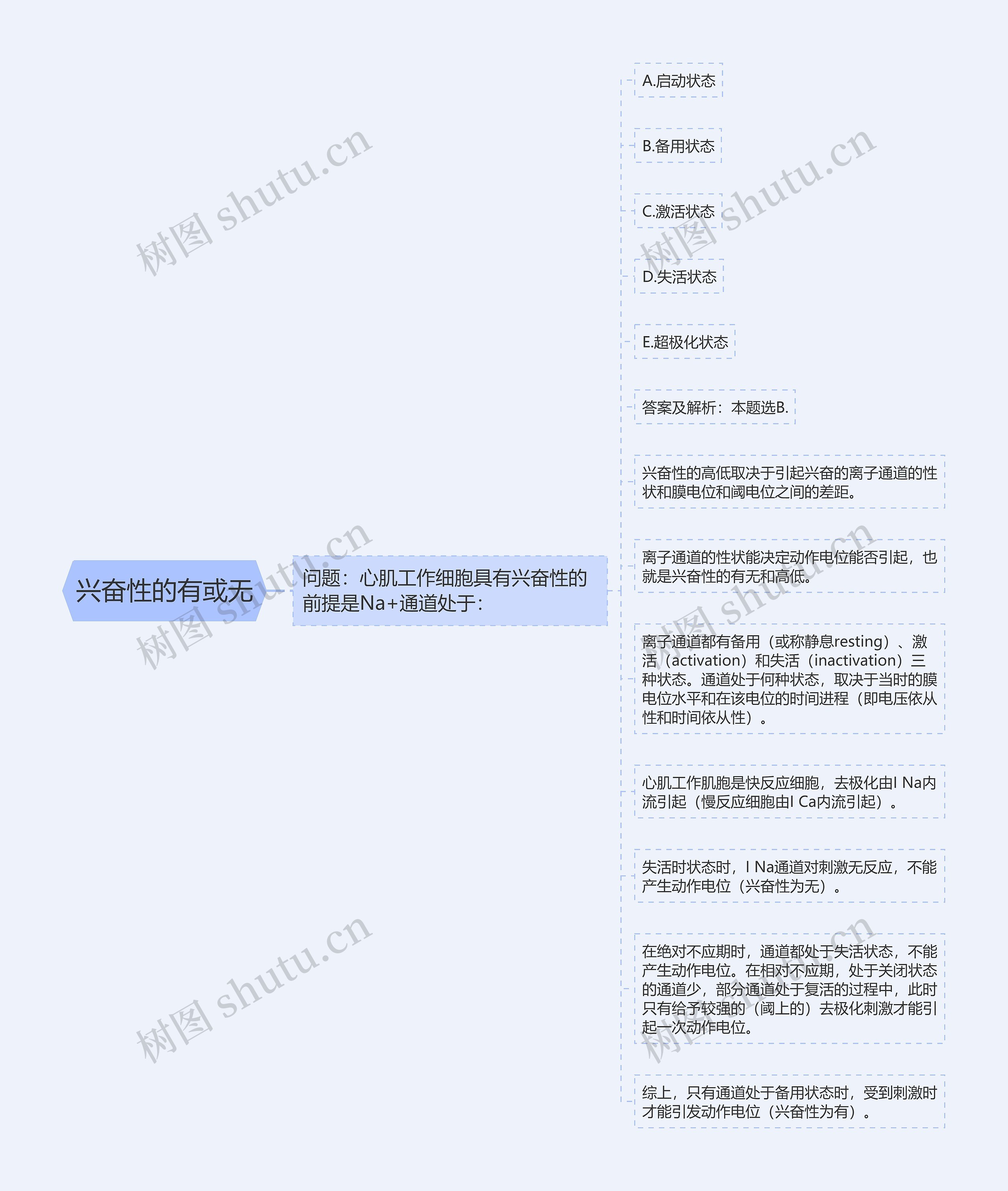 兴奋性的有或无 兴奋性的有或无