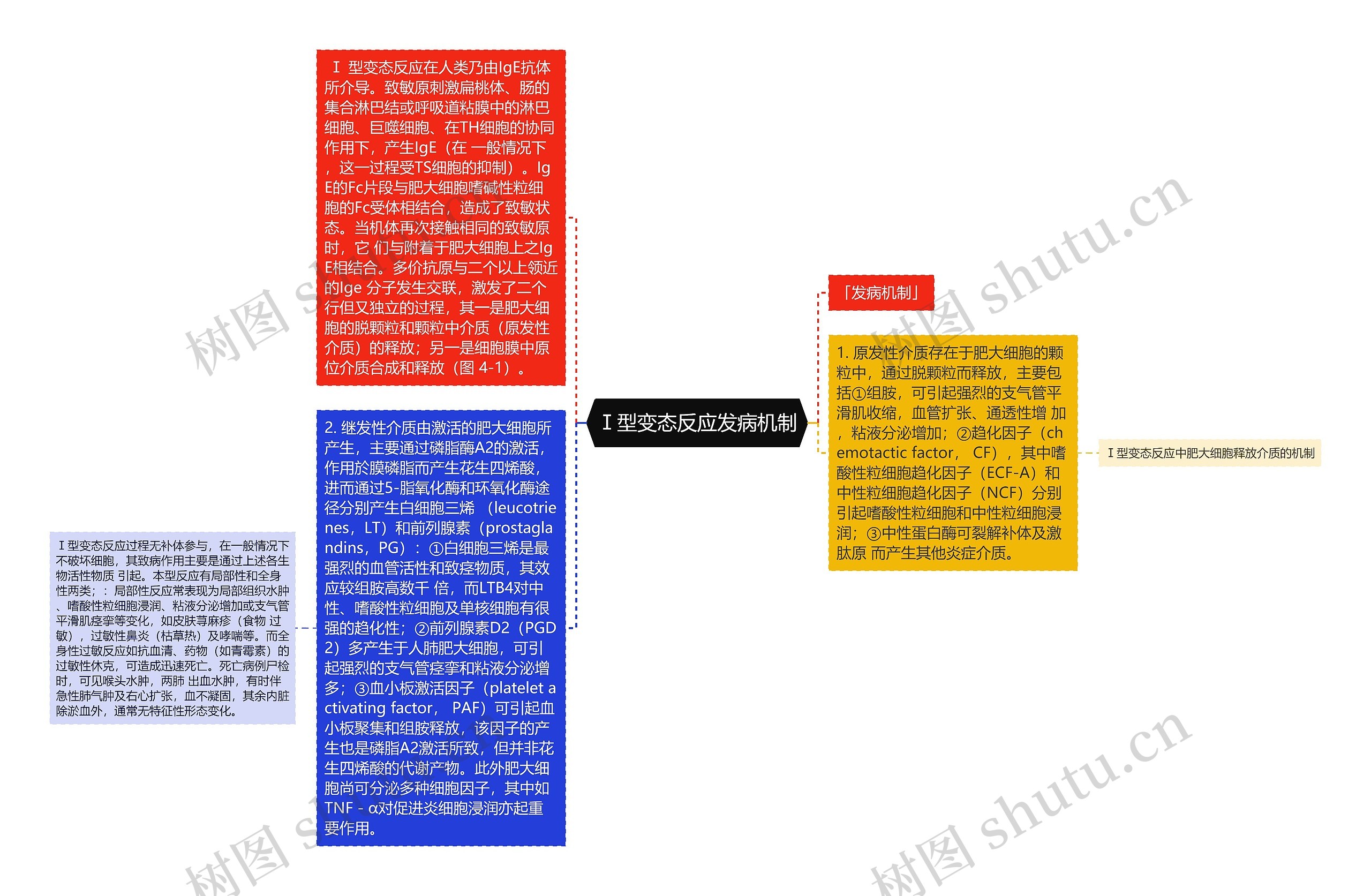 Ⅰ型变态反应发病机制思维导图高清图 Ⅰ型变态反应发病机制思维导图