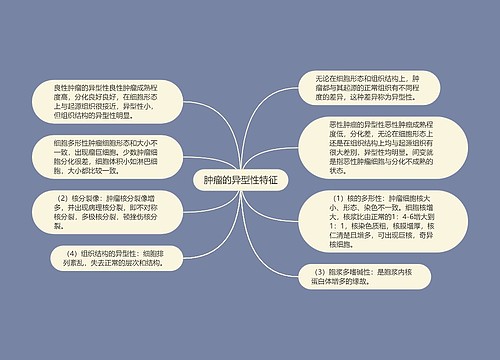 肿瘤的异型性特征