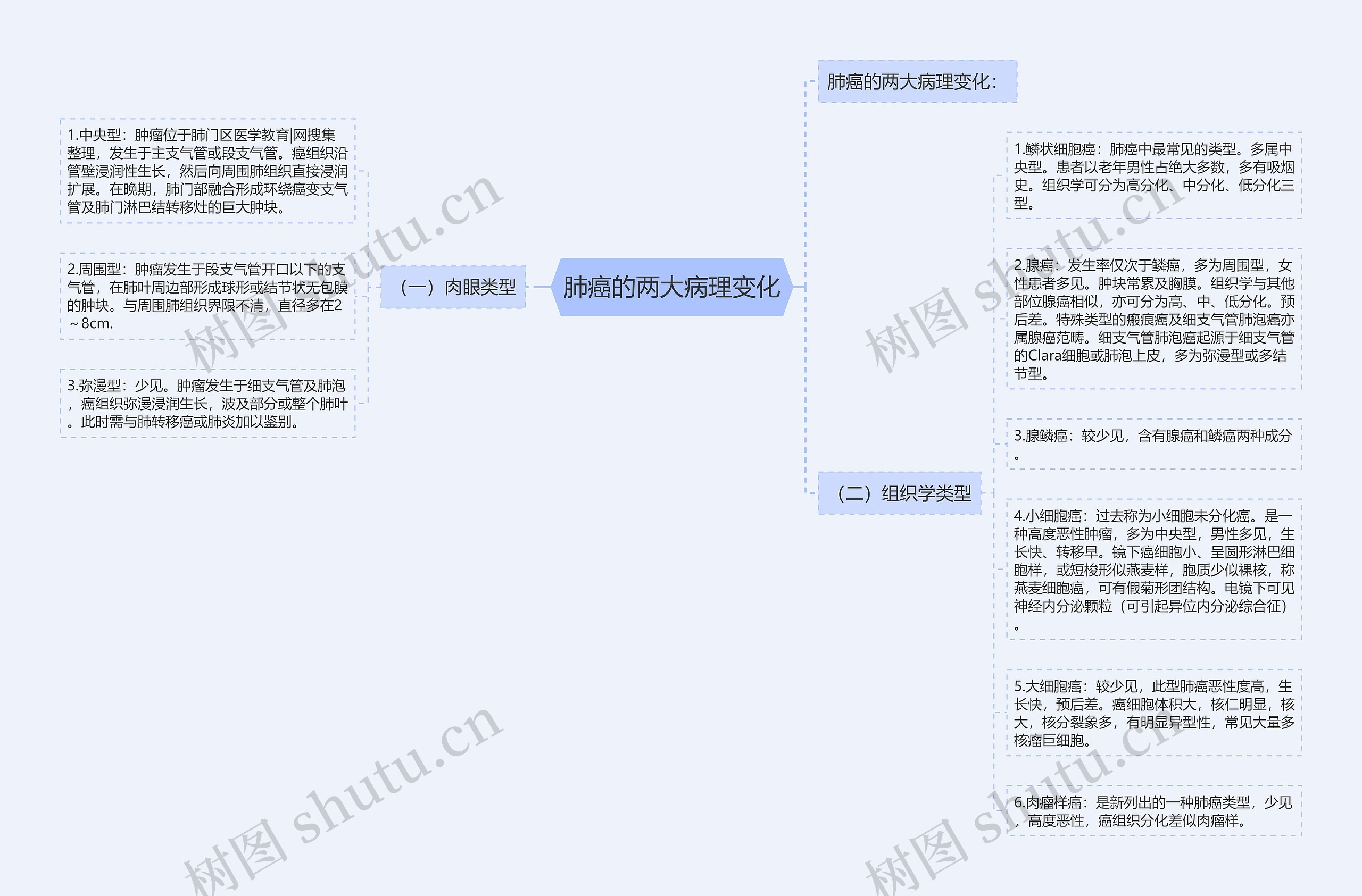 肺癌的两大病理变化思维导图