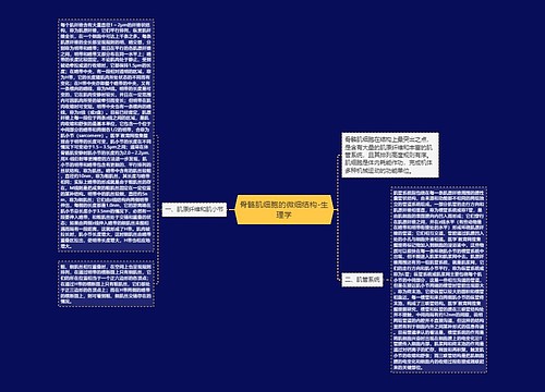 骨骼肌细胞的微细结构-生理学