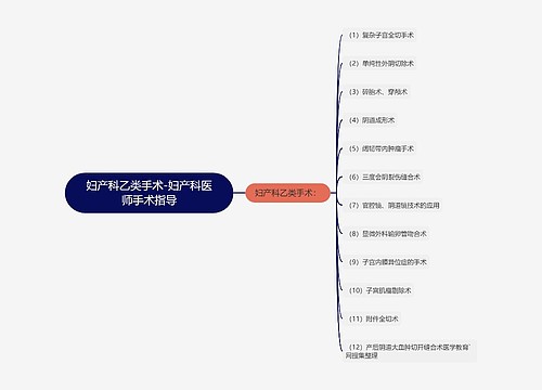 妇产科乙类手术-妇产科医师手术指导