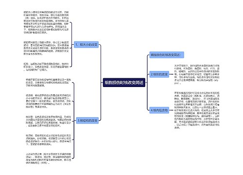 细胞损伤时核改变简述