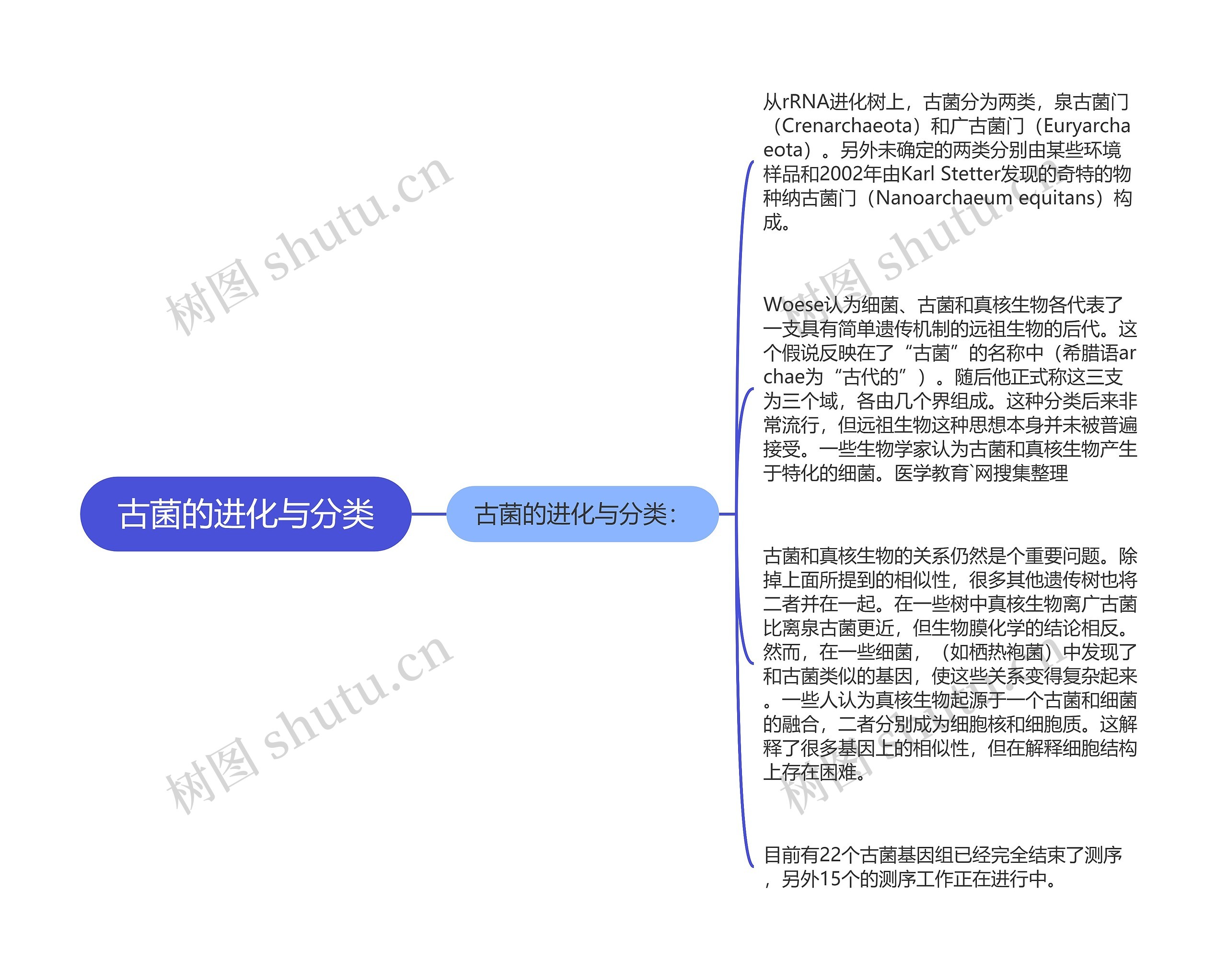 古菌的进化与分类思维导图