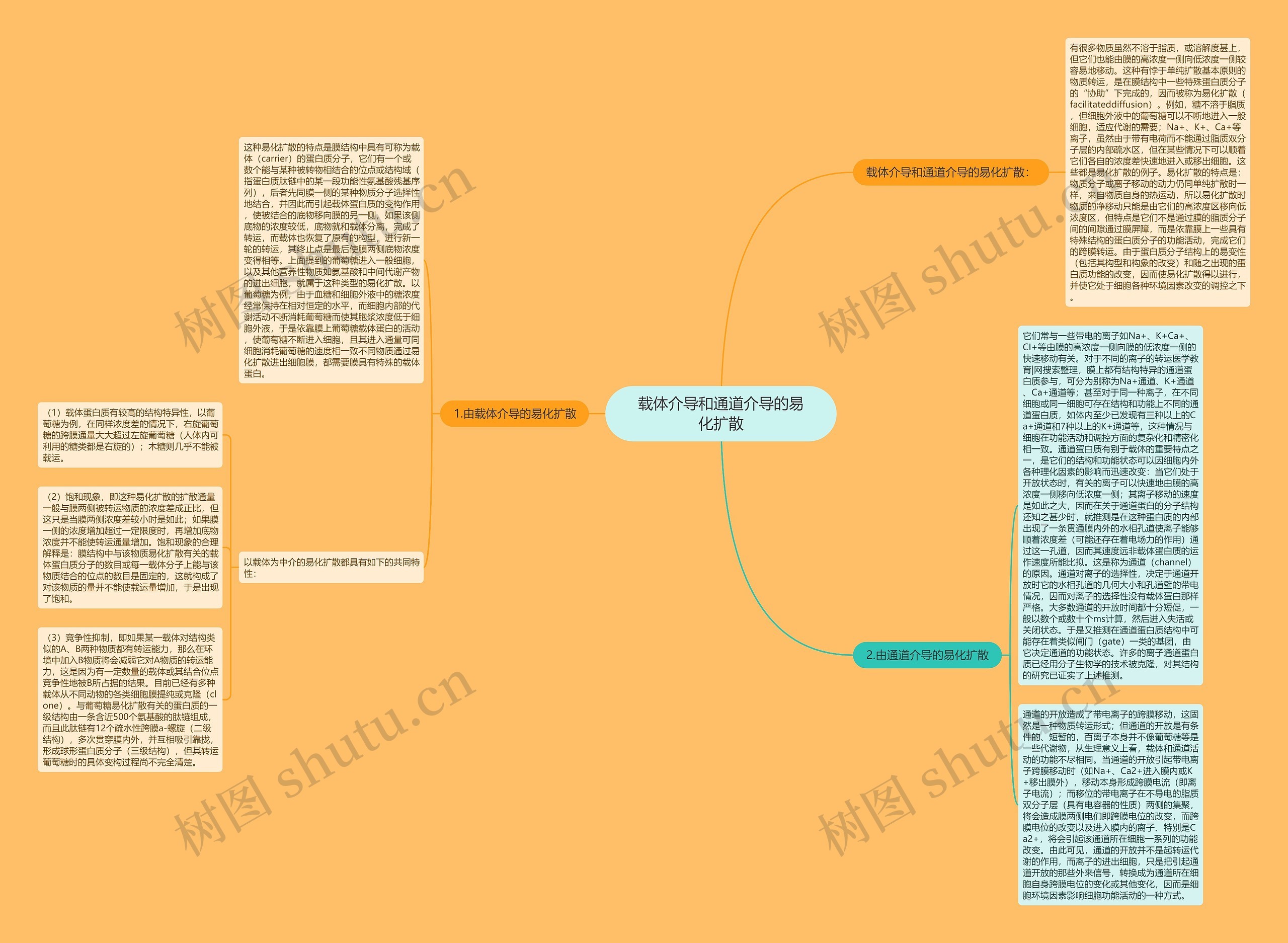 载体介导和通道介导的易化扩散 载体介导和通道介导的易化扩散