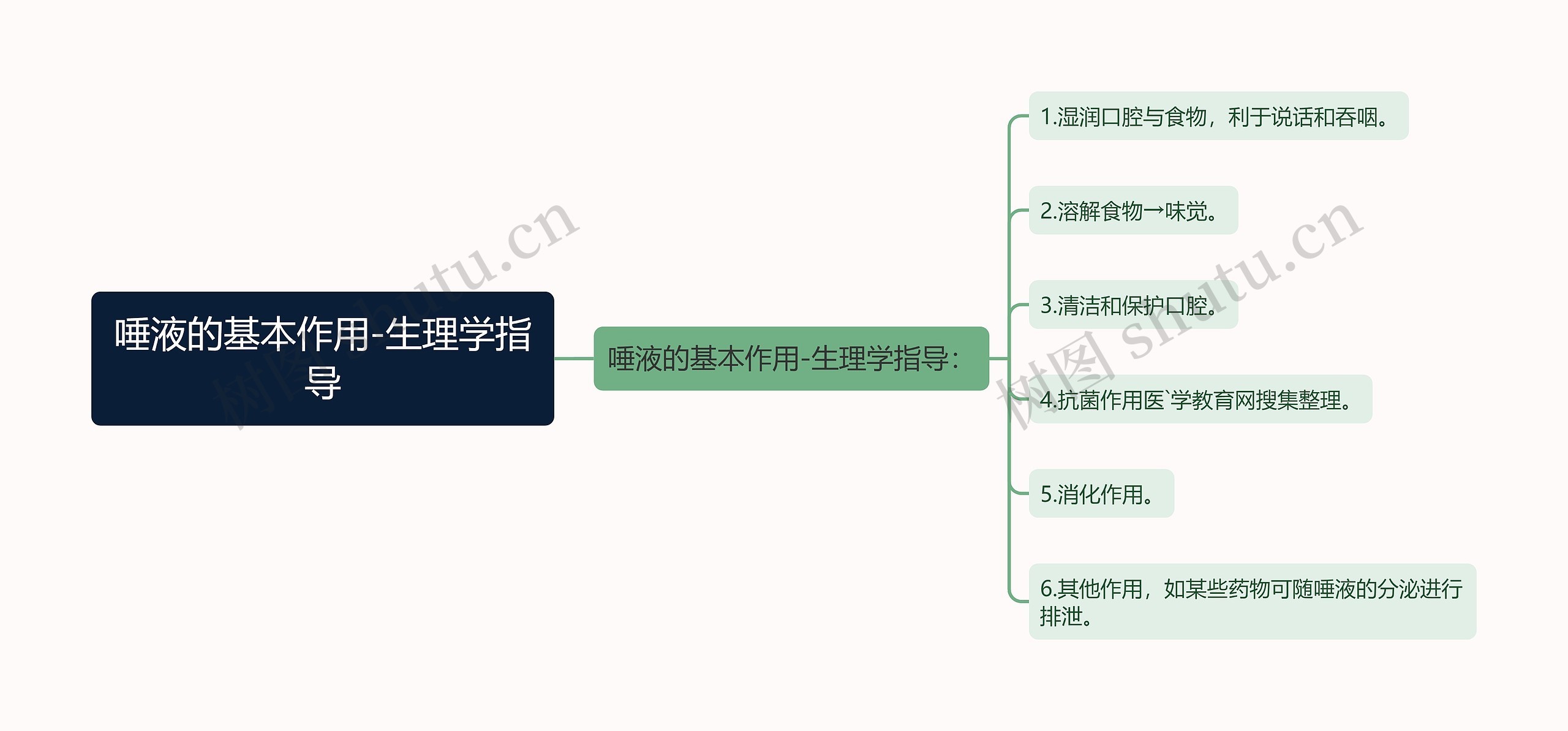 唾液的基本作用-生理学指导