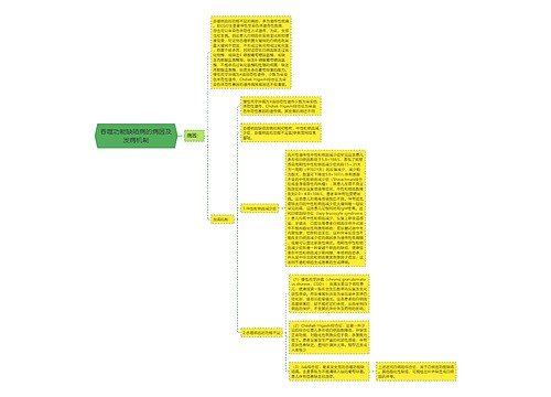 吞噬功能缺陷病的病因及发病机制