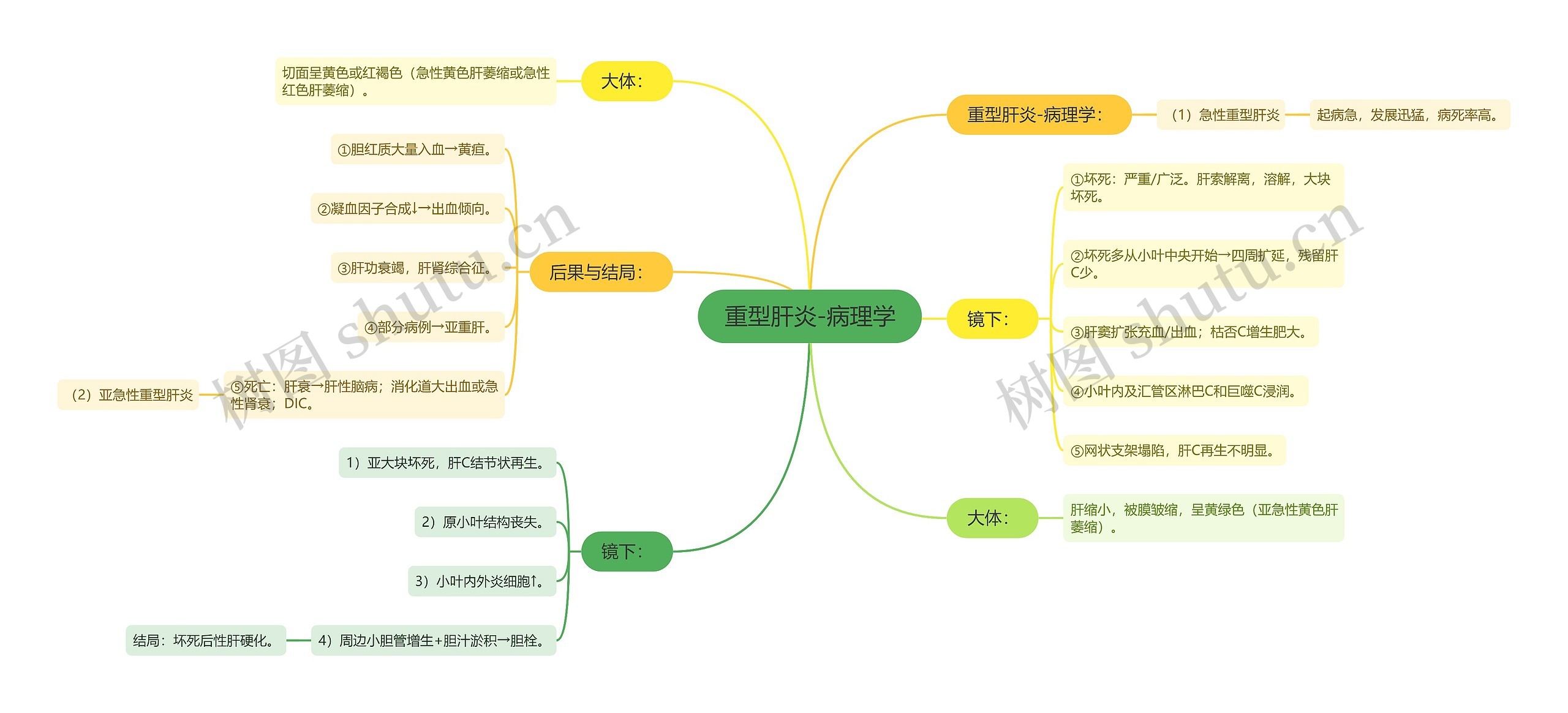 重型肝炎-病理学思维导图