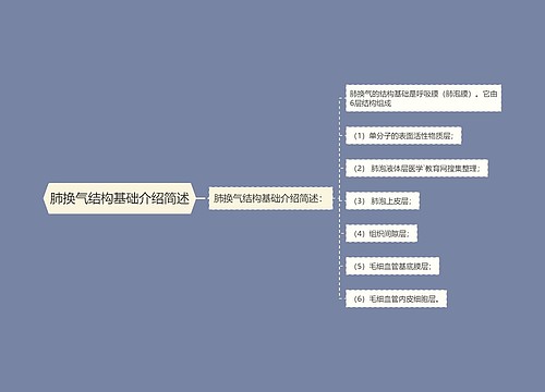 肺换气结构基础介绍简述