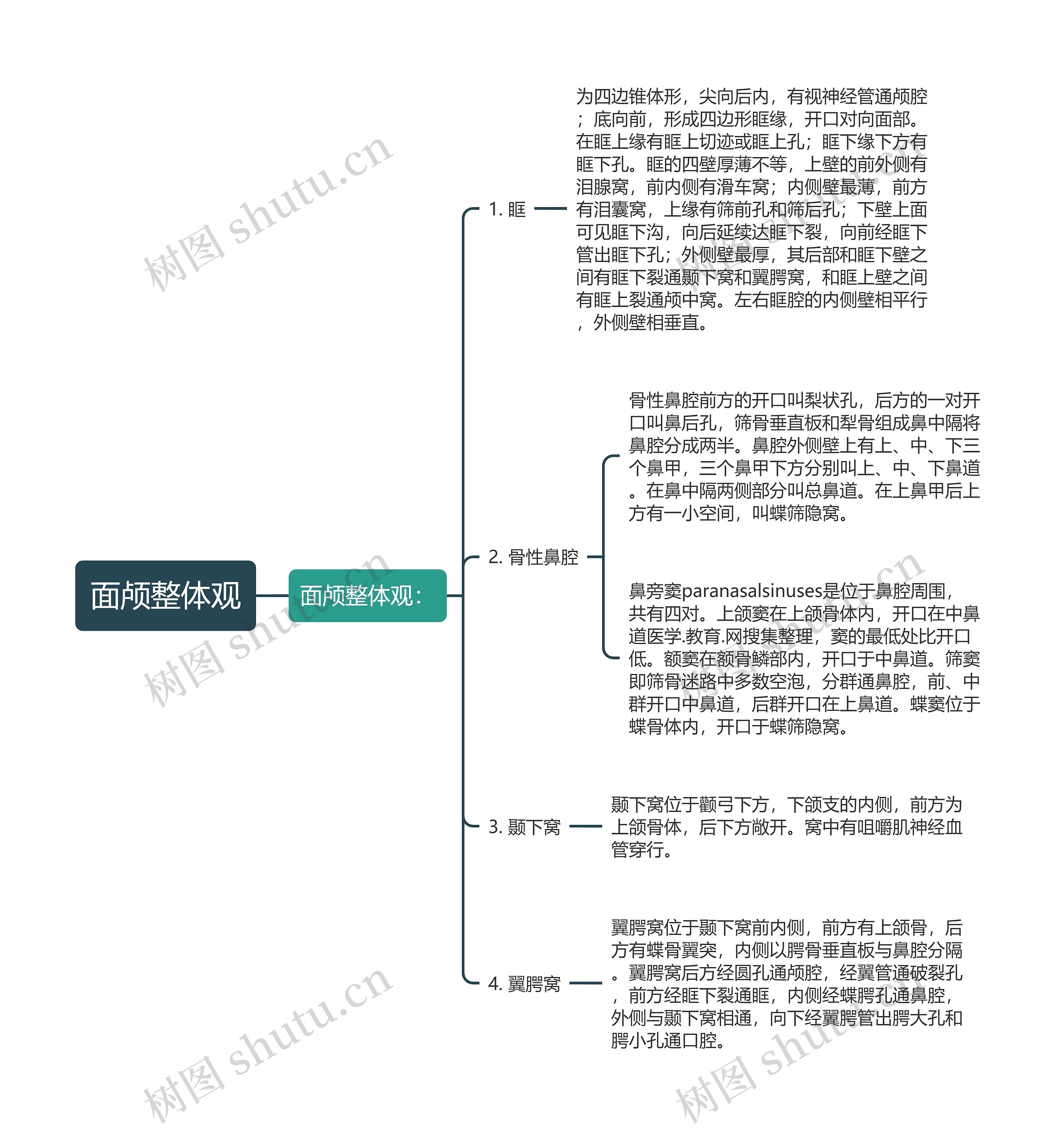 面颅整体观思维导图