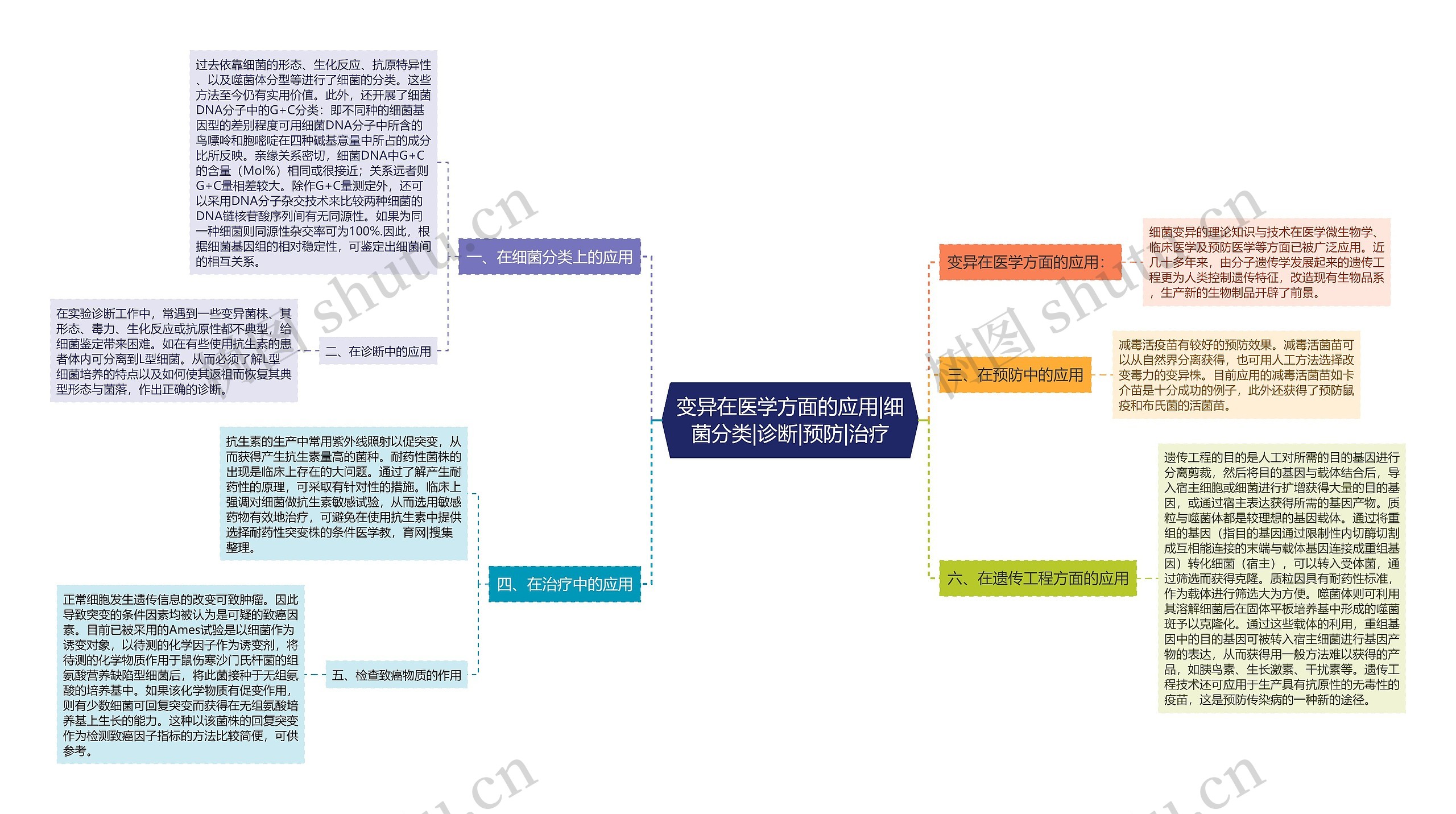 变异在医学方面的应用|细菌分类|诊断|预防|治疗