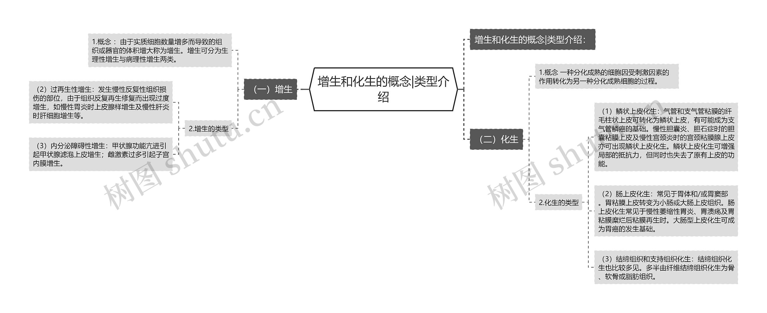 增生和化生的概念|类型介绍