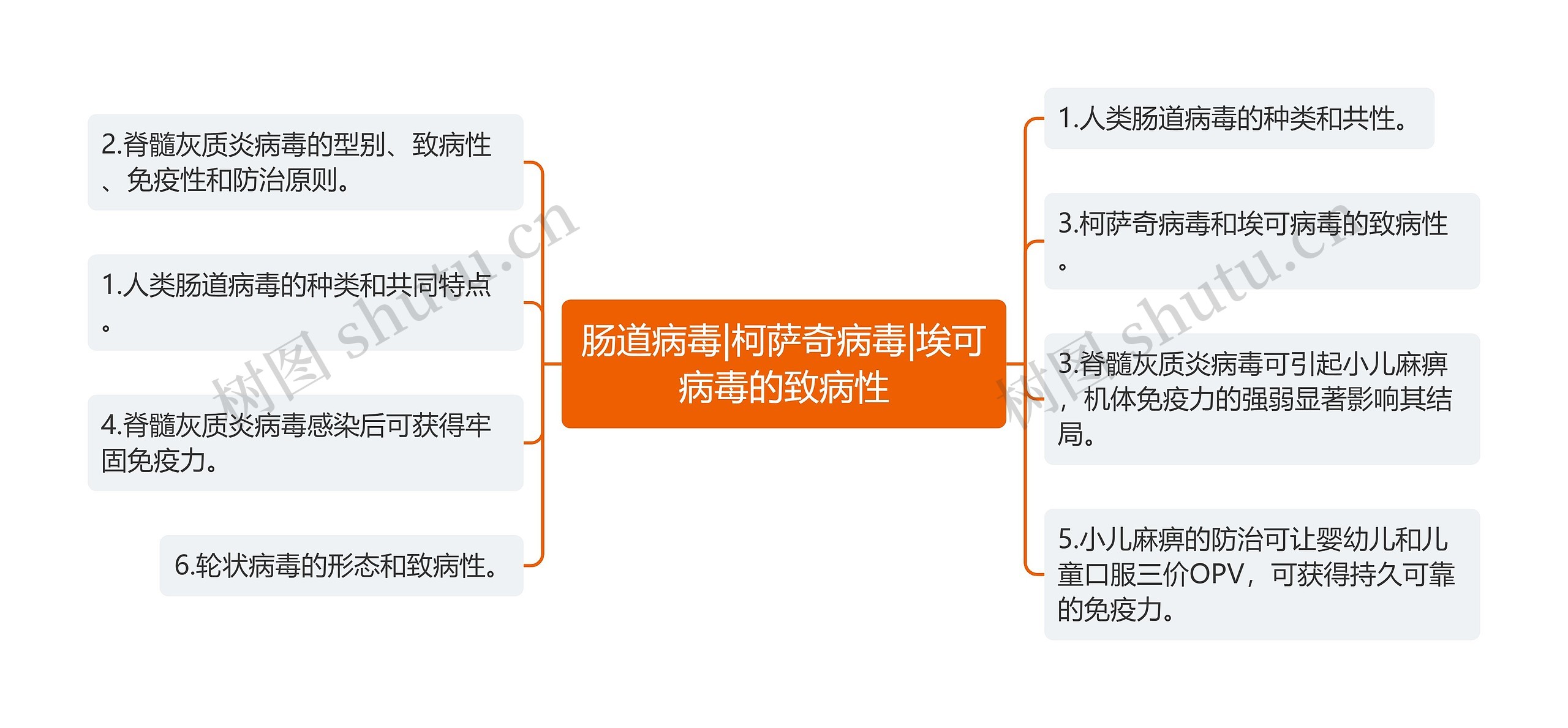 肠道病毒|柯萨奇病毒|埃可病毒的致病性思维导图