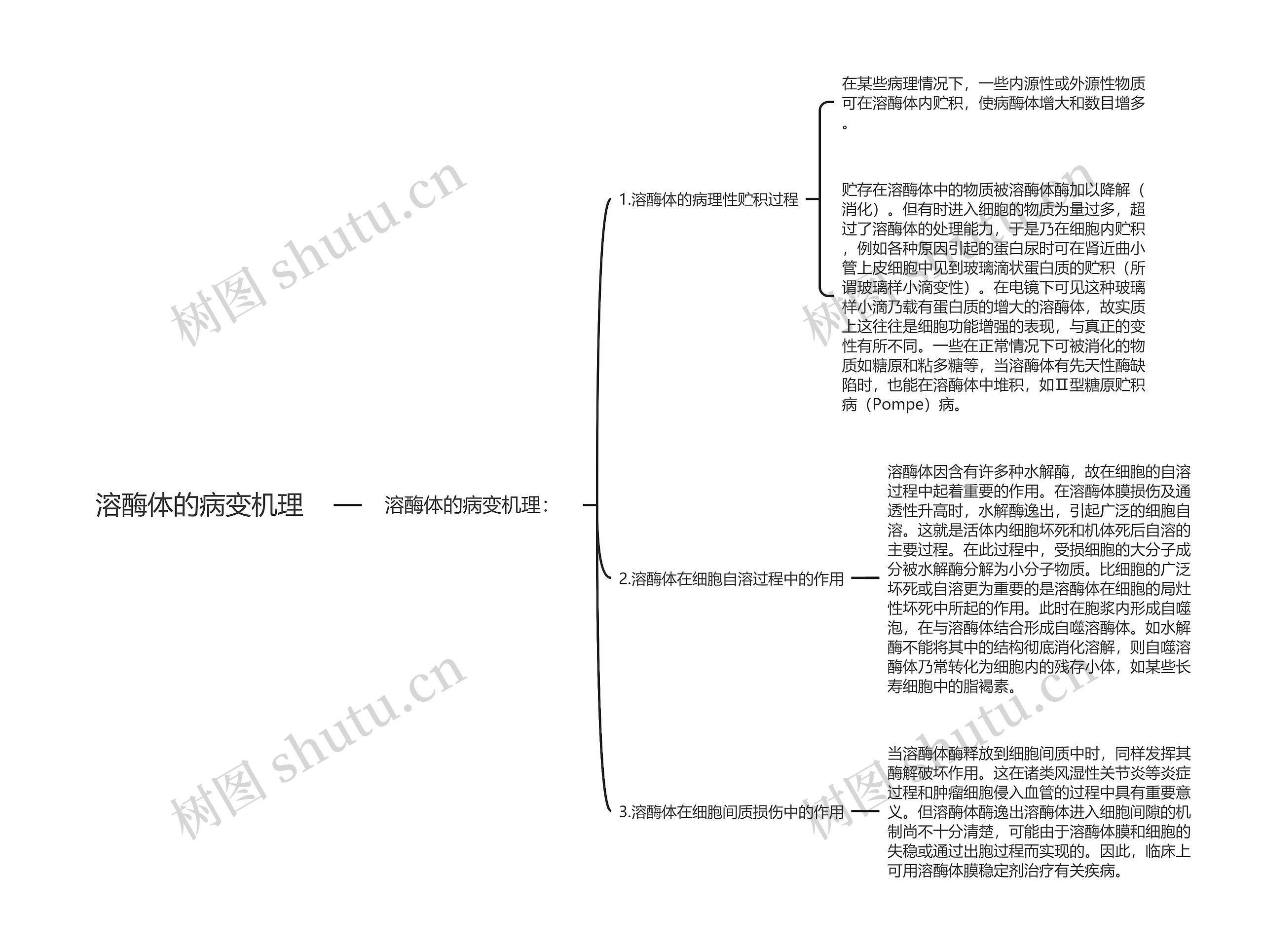 溶酶体的病变机理思维导图