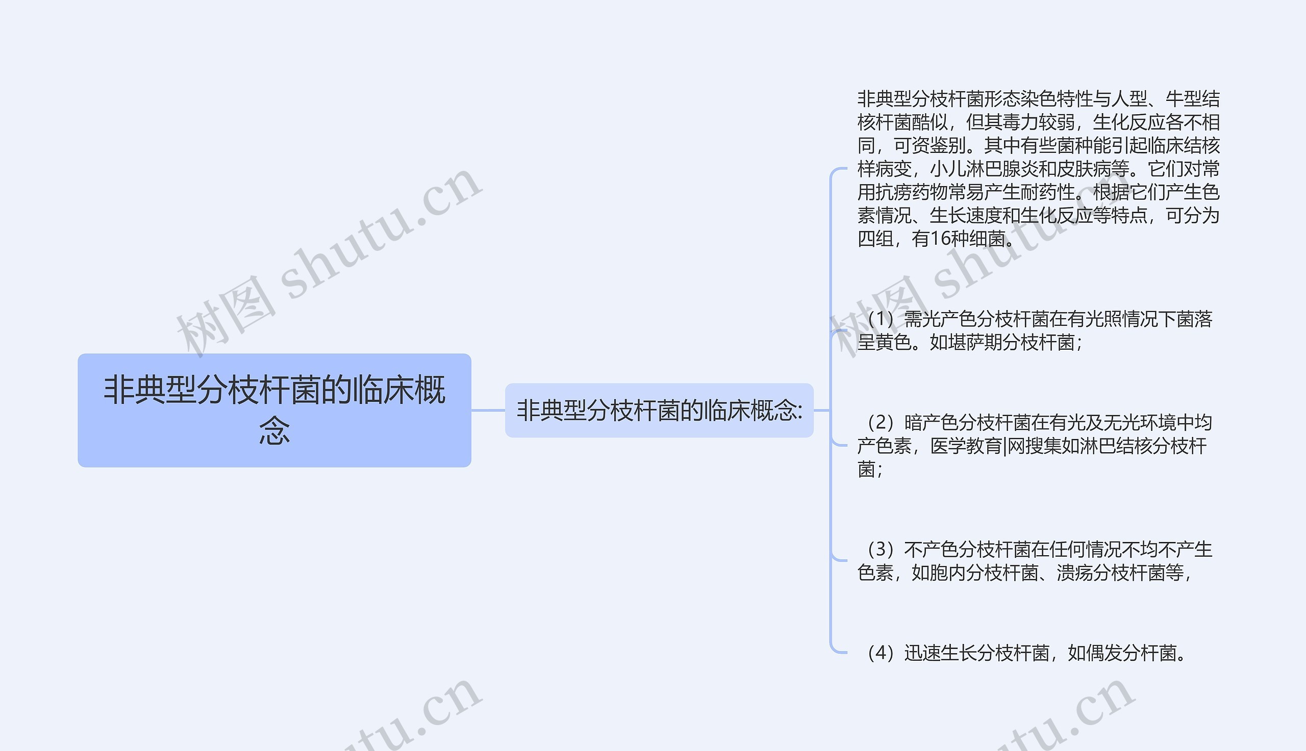 非典型分枝杆菌的临床概念思维导图