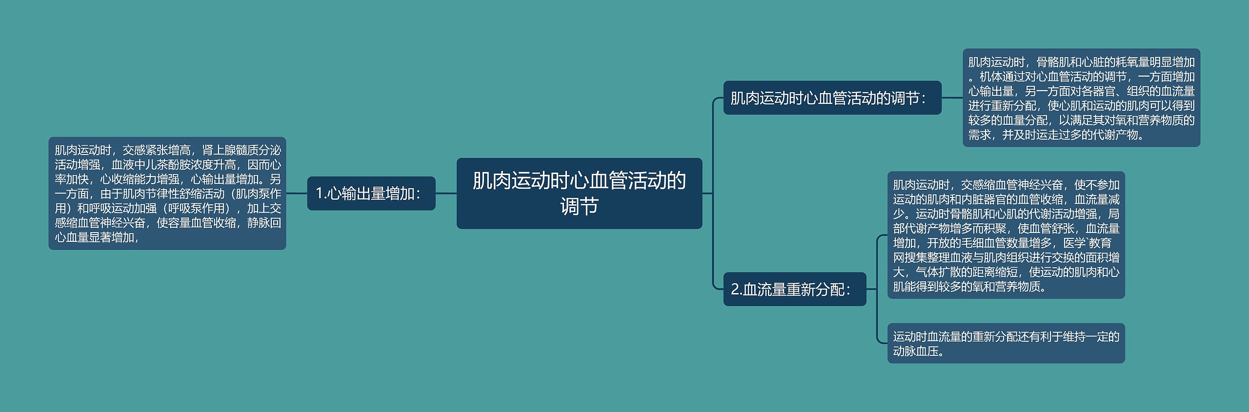 肌肉运动时心血管活动的调节思维导图