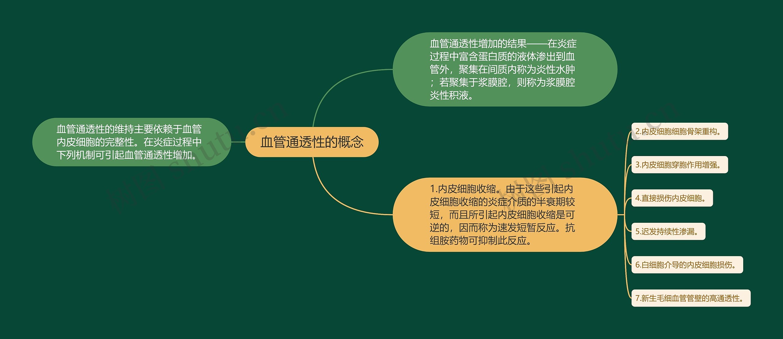 血管通透性的概念 血管通透性的概念