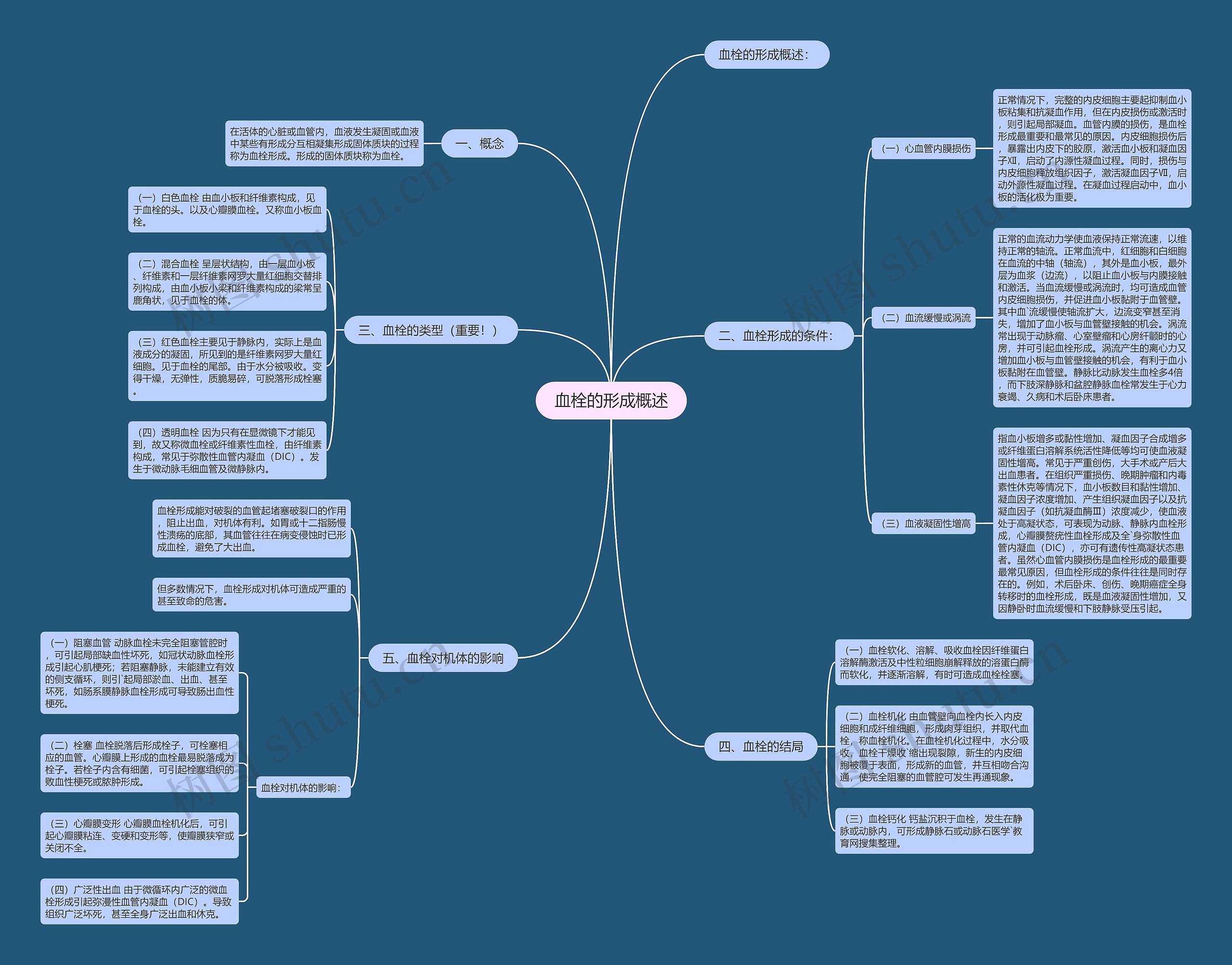 血栓的形成概述 血栓的形成概述