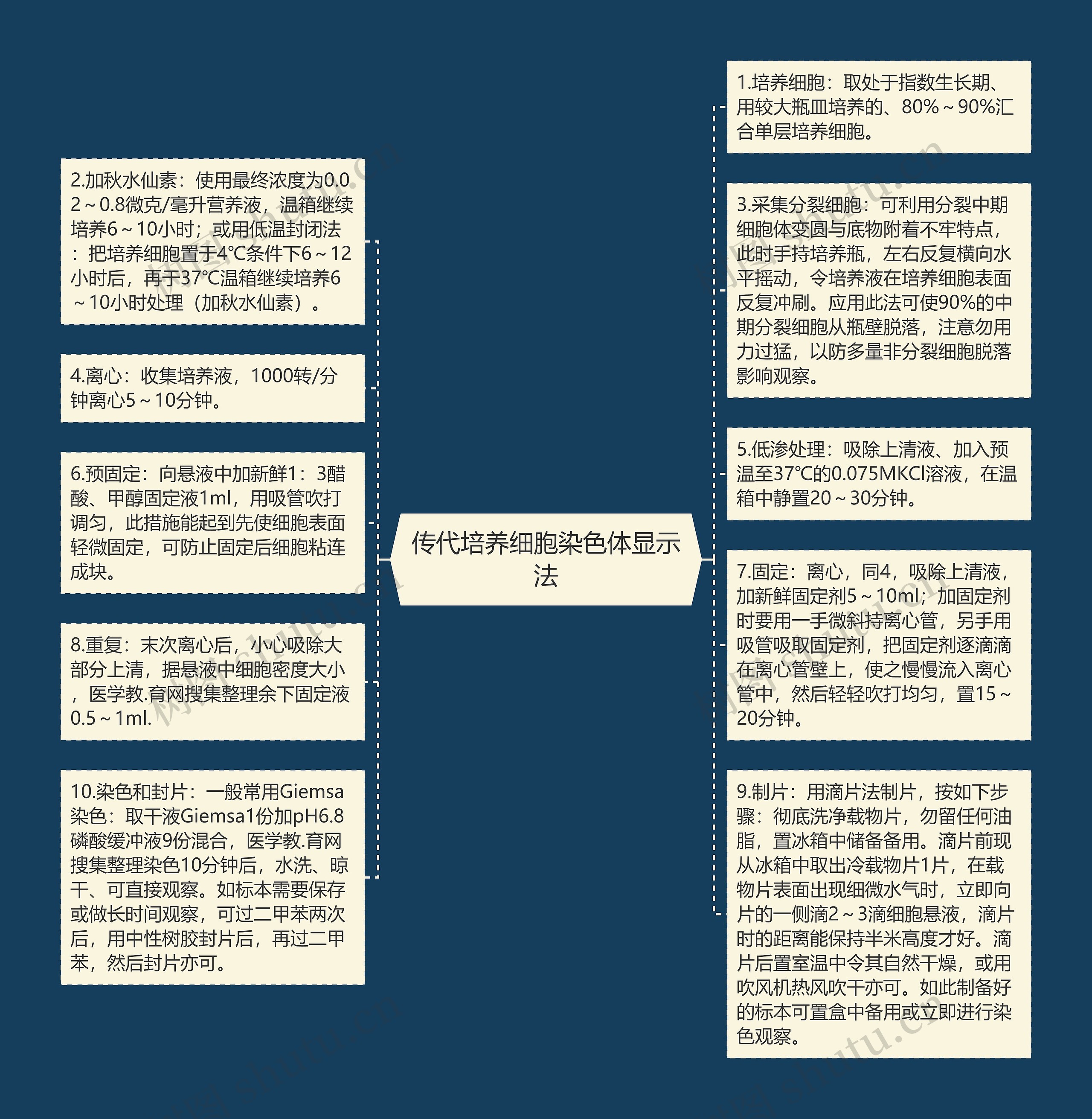 传代培养细胞染色体显示法