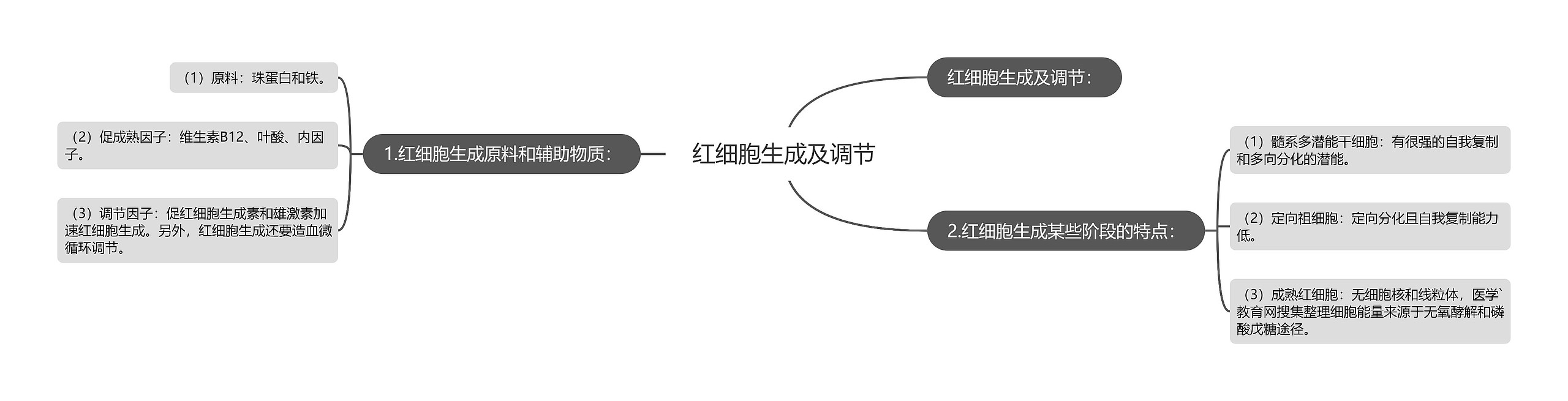 红细胞生成及调节思维导图