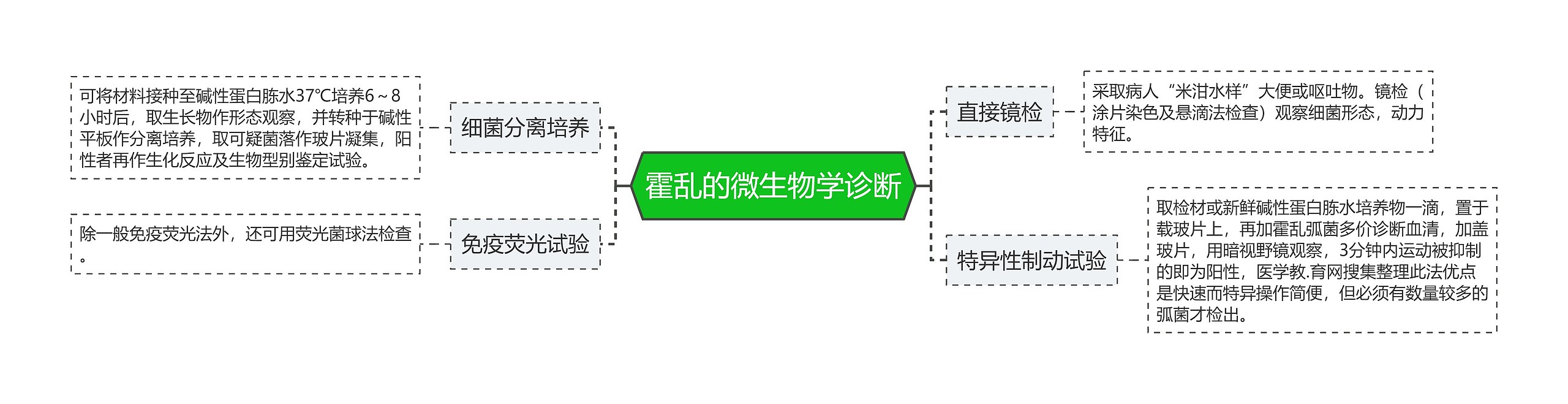 霍乱的微生物学诊断思维导图