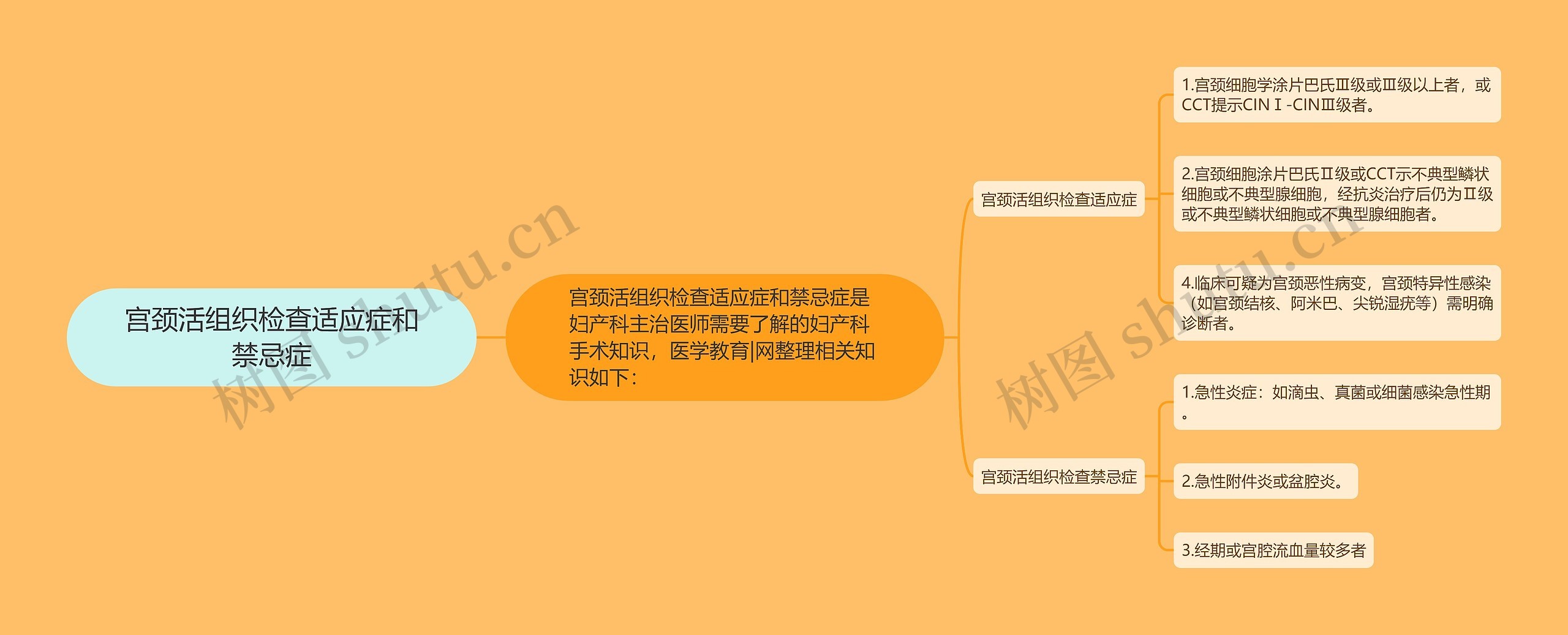 宫颈活组织检查适应症和禁忌症思维导图