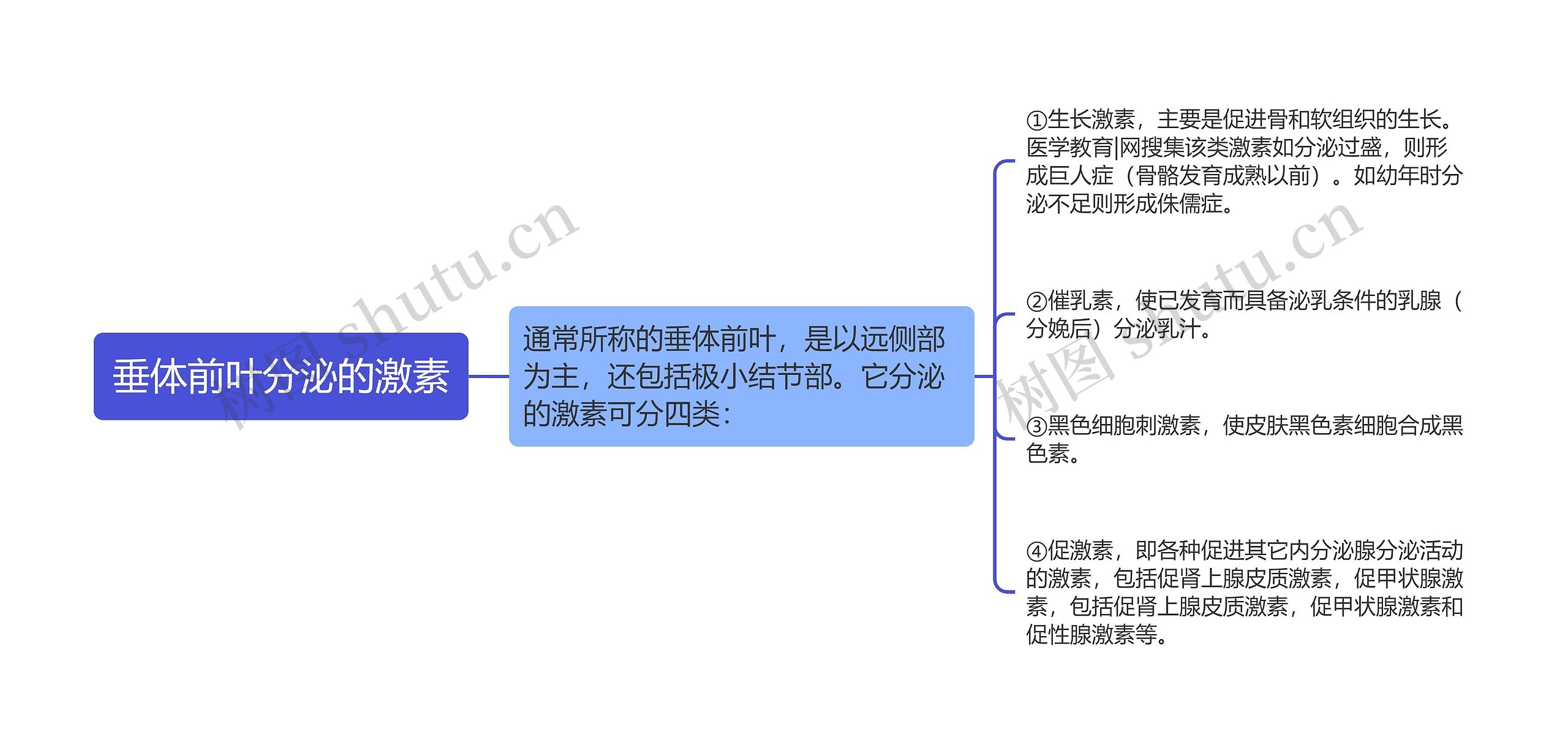 垂体前叶分泌的激素思维导图