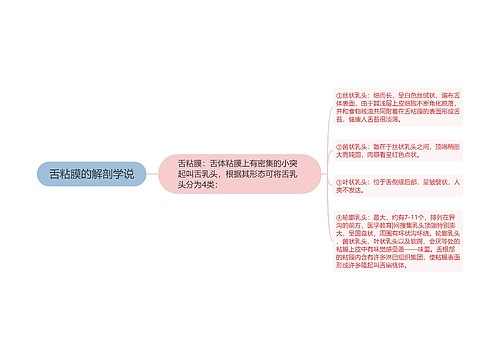 舌粘膜的解剖学说