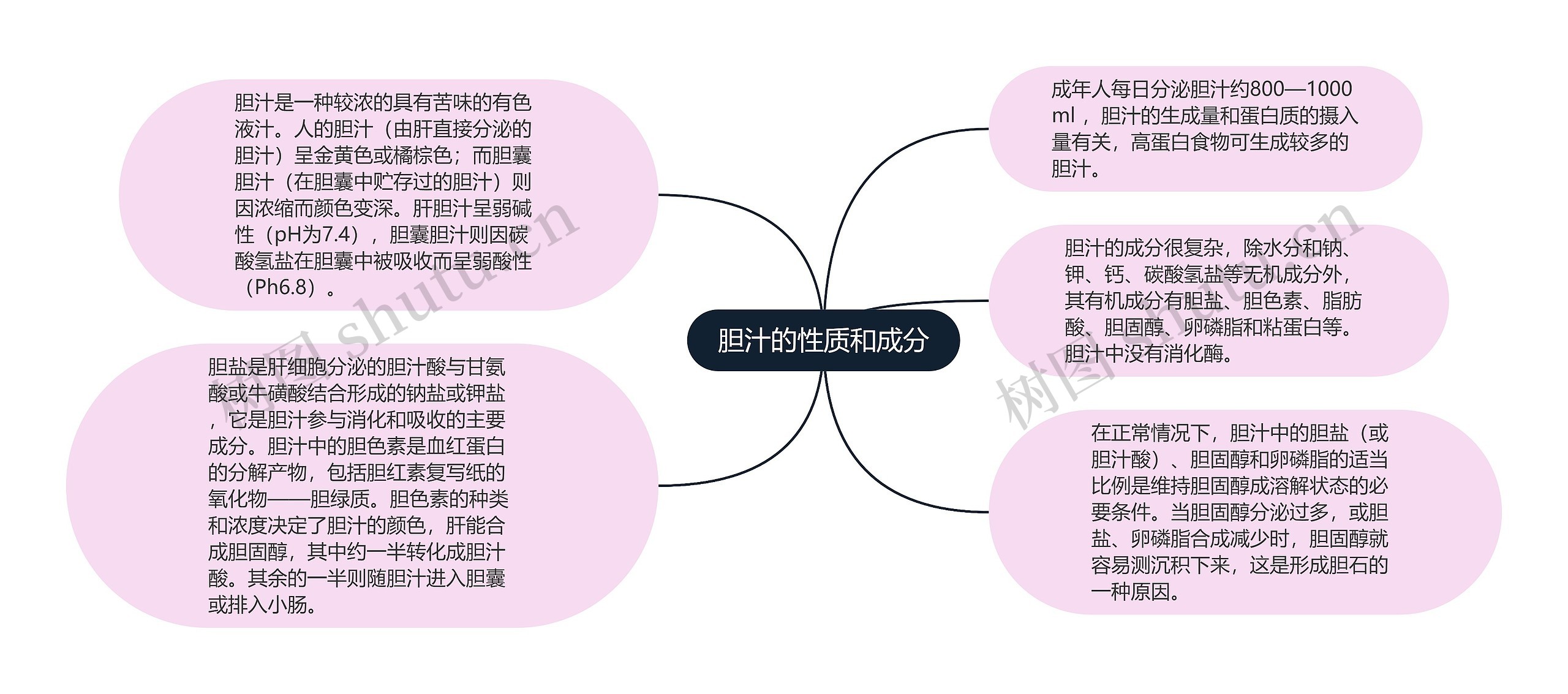 胆汁的性质和成分思维导图