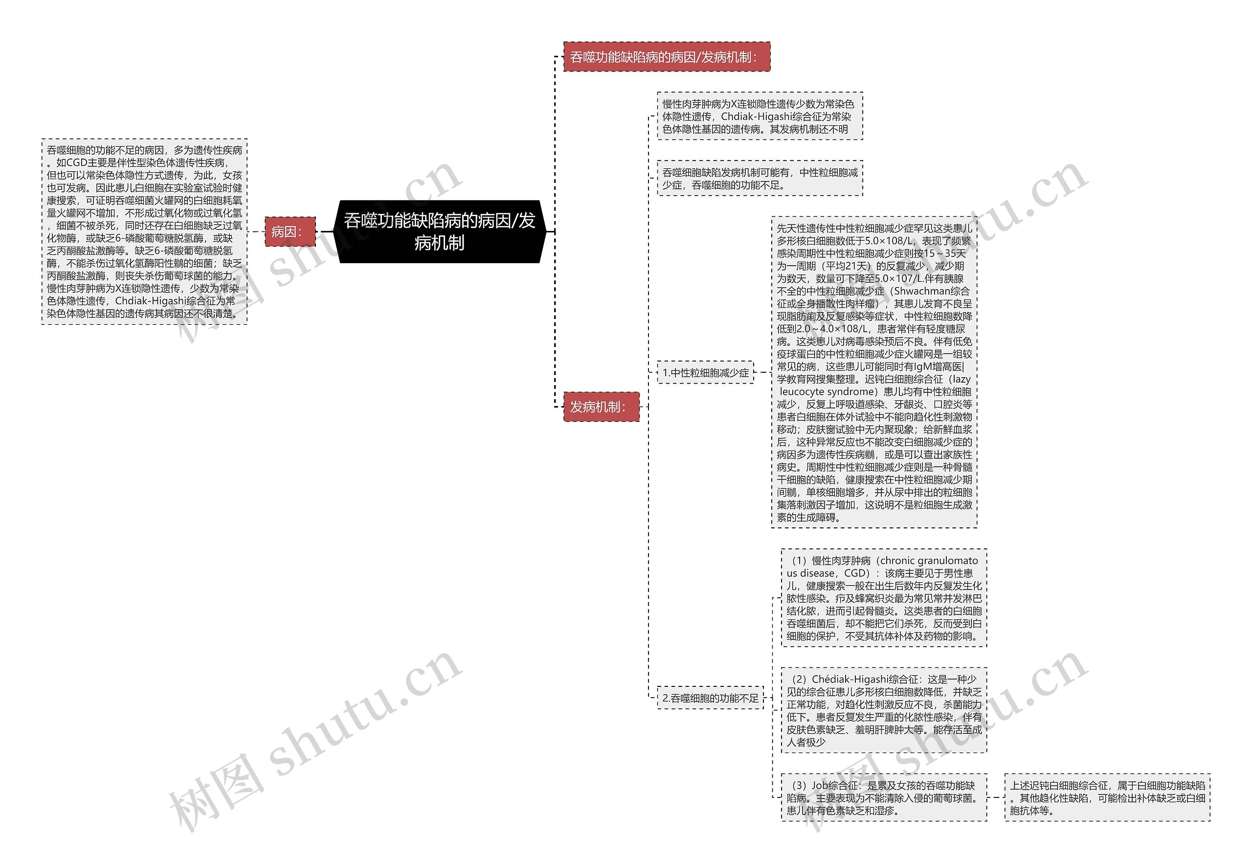 吞噬功能缺陷病的病因/发病机制思维导图