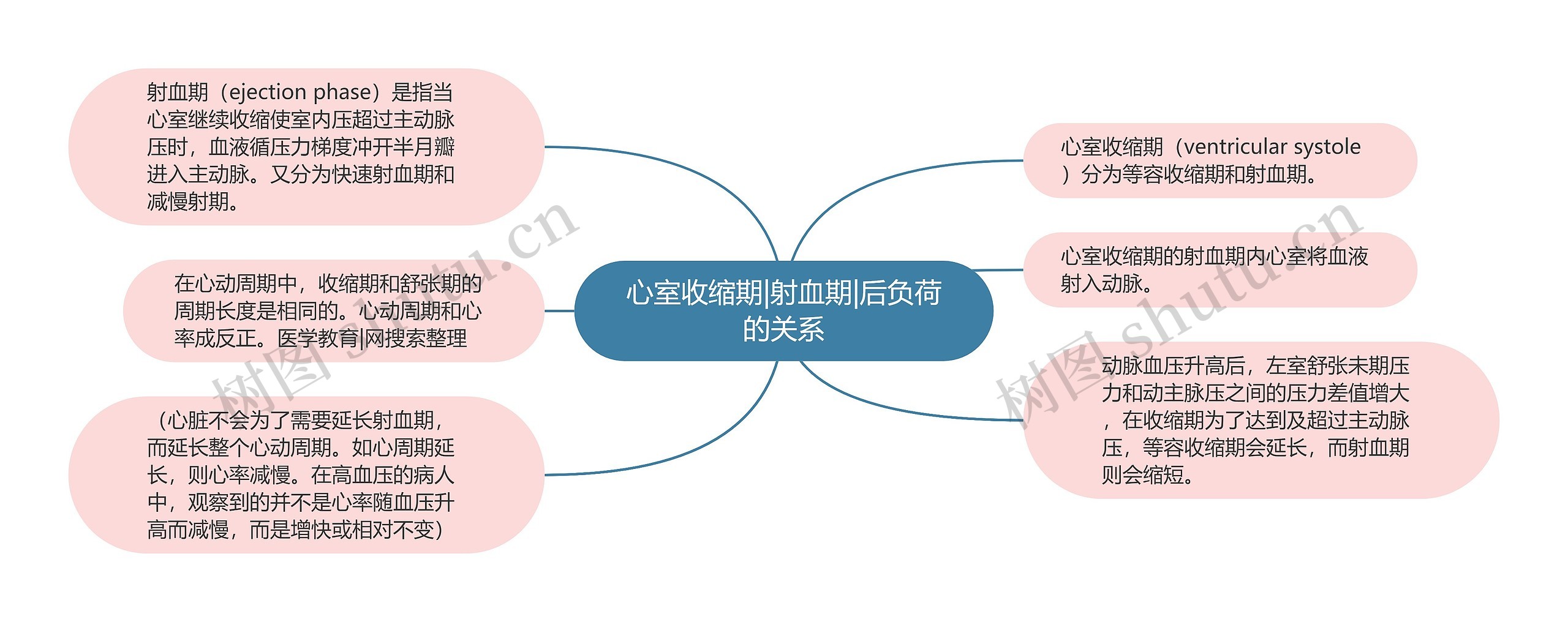 心室收缩期|射血期|后负荷的关系