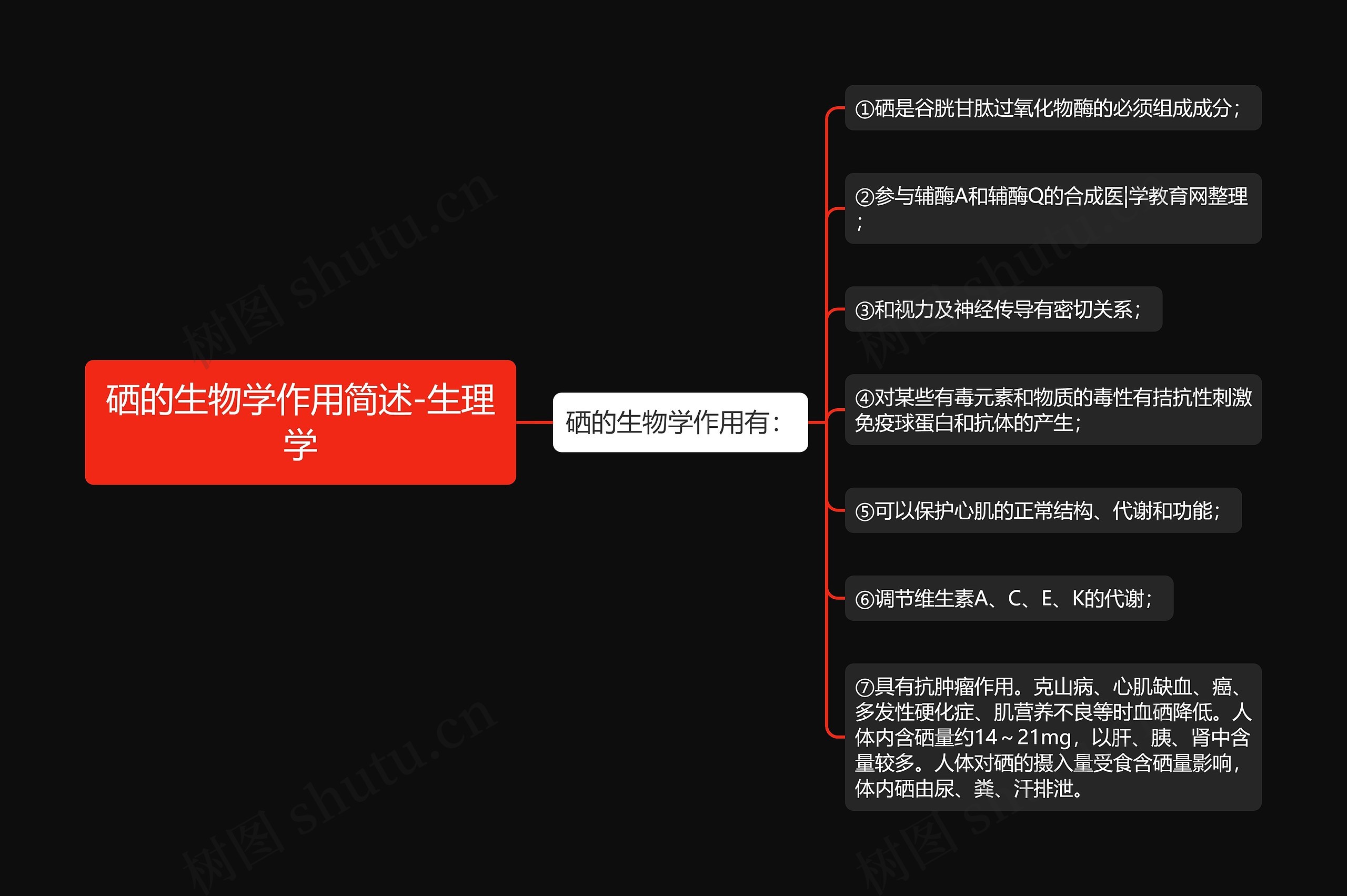 硒的生物学作用简述-生理学思维导图