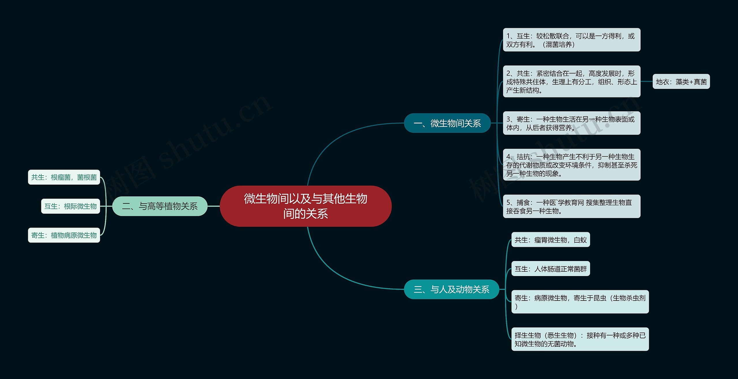 微生物间以及与其他生物间的关系思维导图