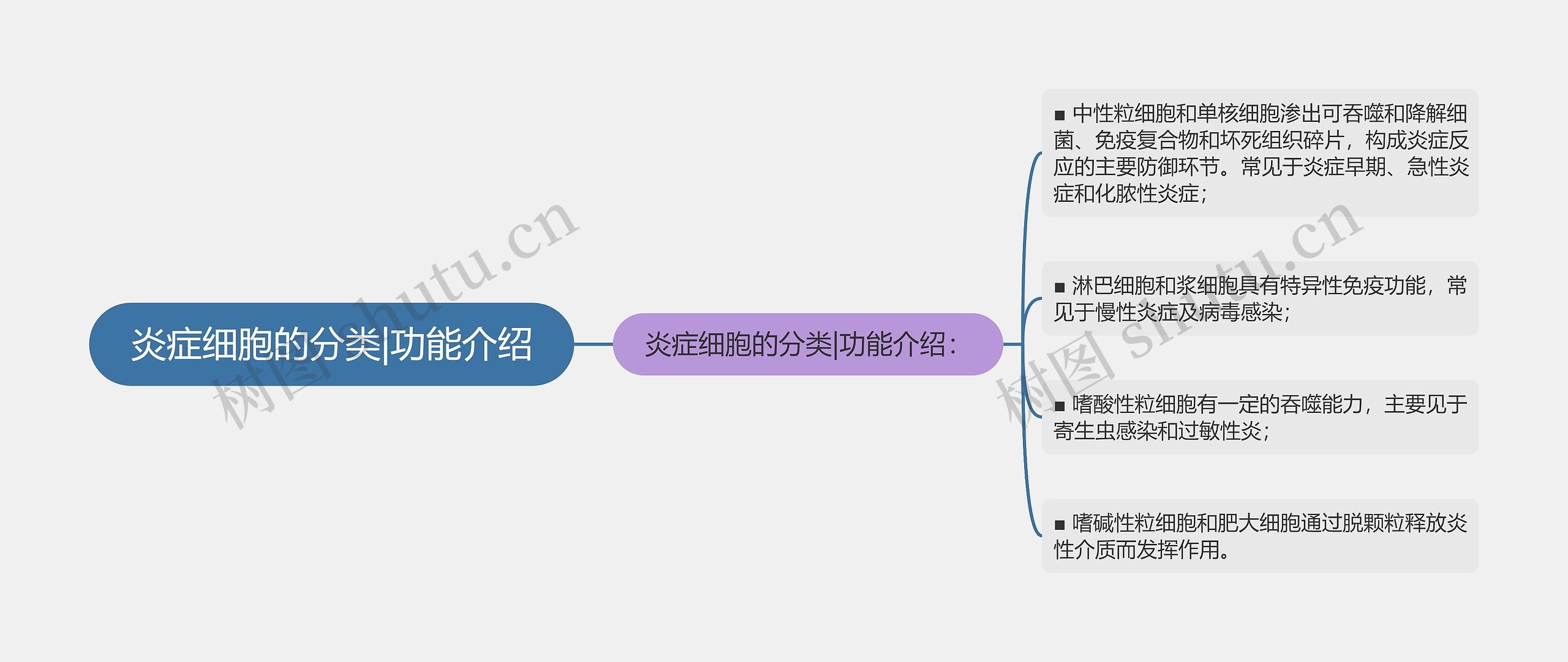 炎症细胞的分类|功能介绍