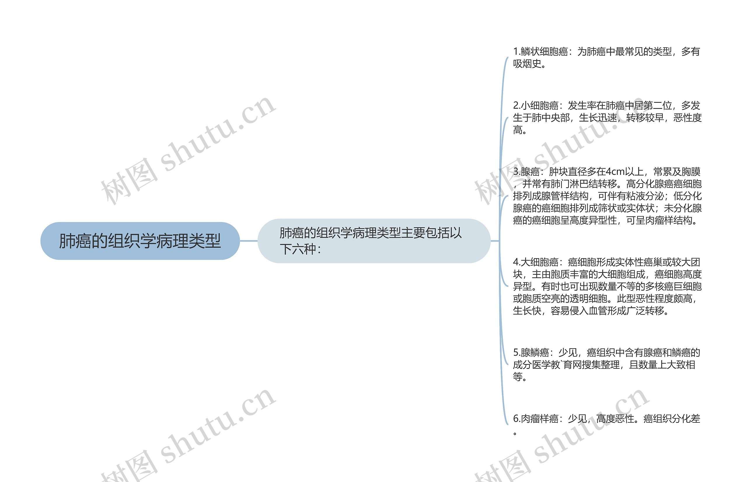肺癌的组织学病理类型 肺癌的组织学病理类型