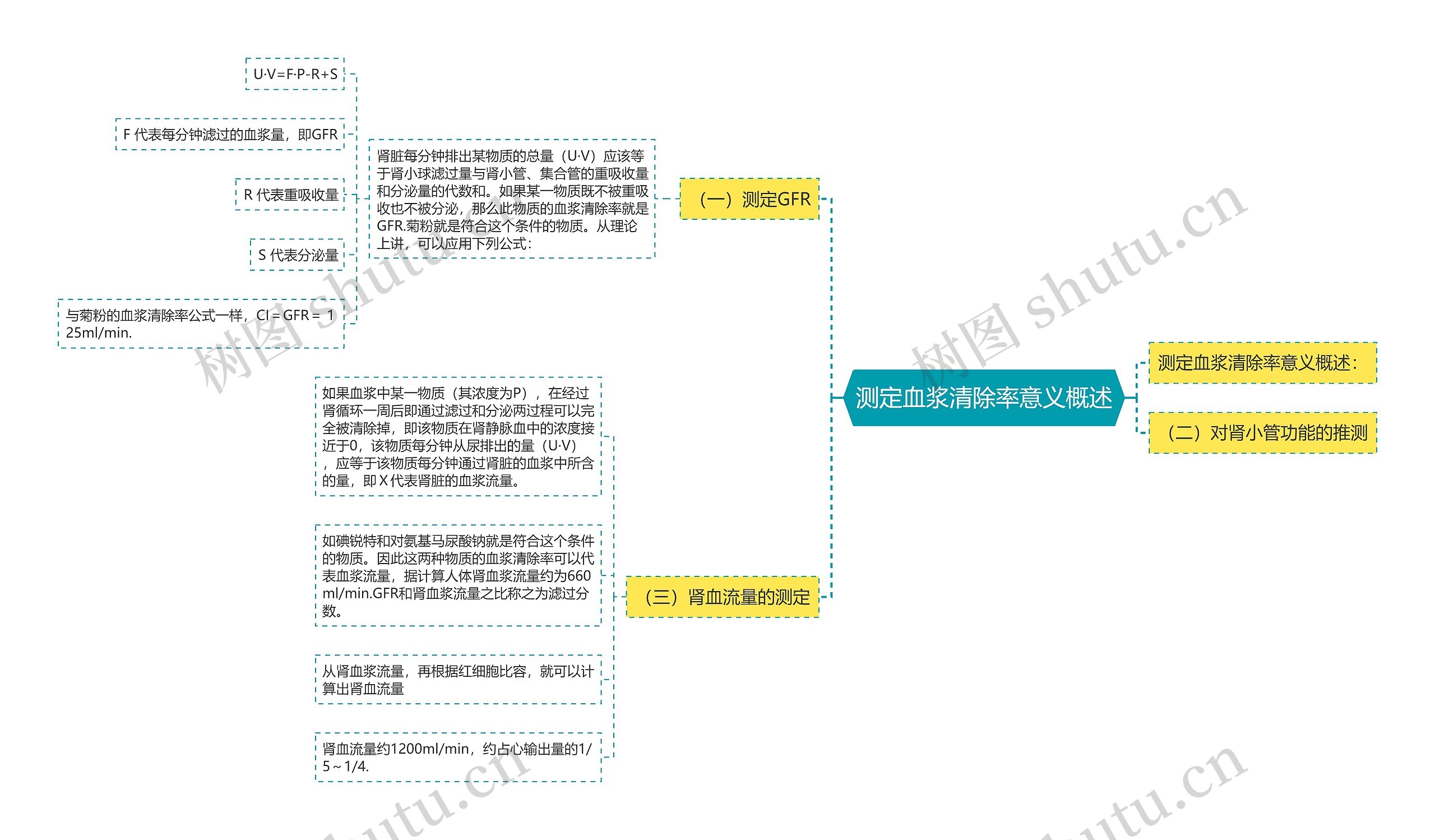 测定血浆清除率意义概述思维导图