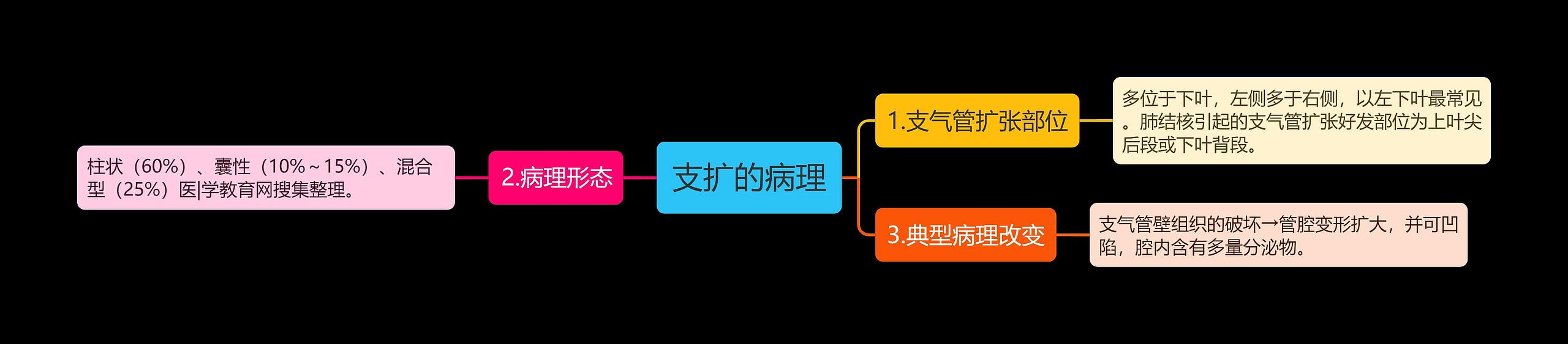 支扩的病理思维导图