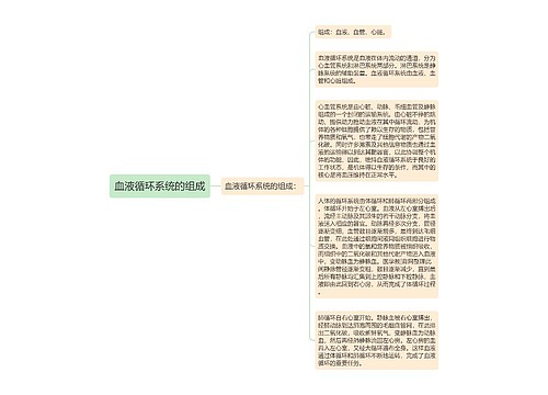 血液循环系统的组成