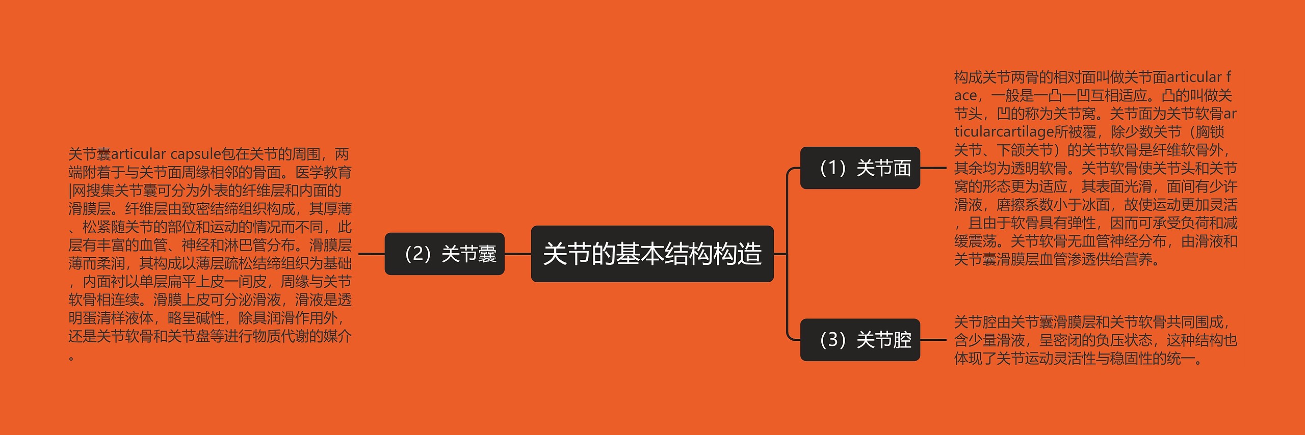 关节的基本结构构造思维导图