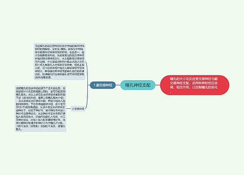 瞳孔神经支配