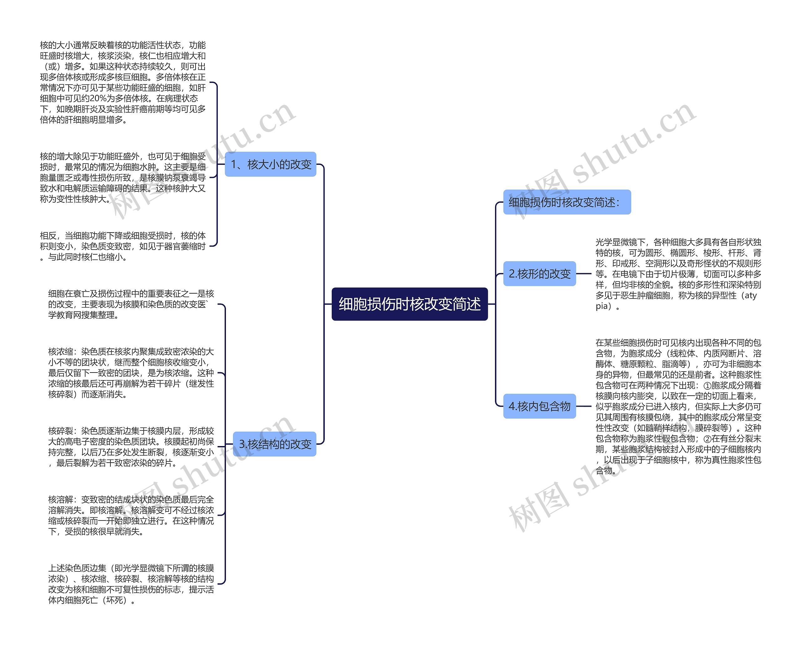 细胞损伤时核改变简述思维导图