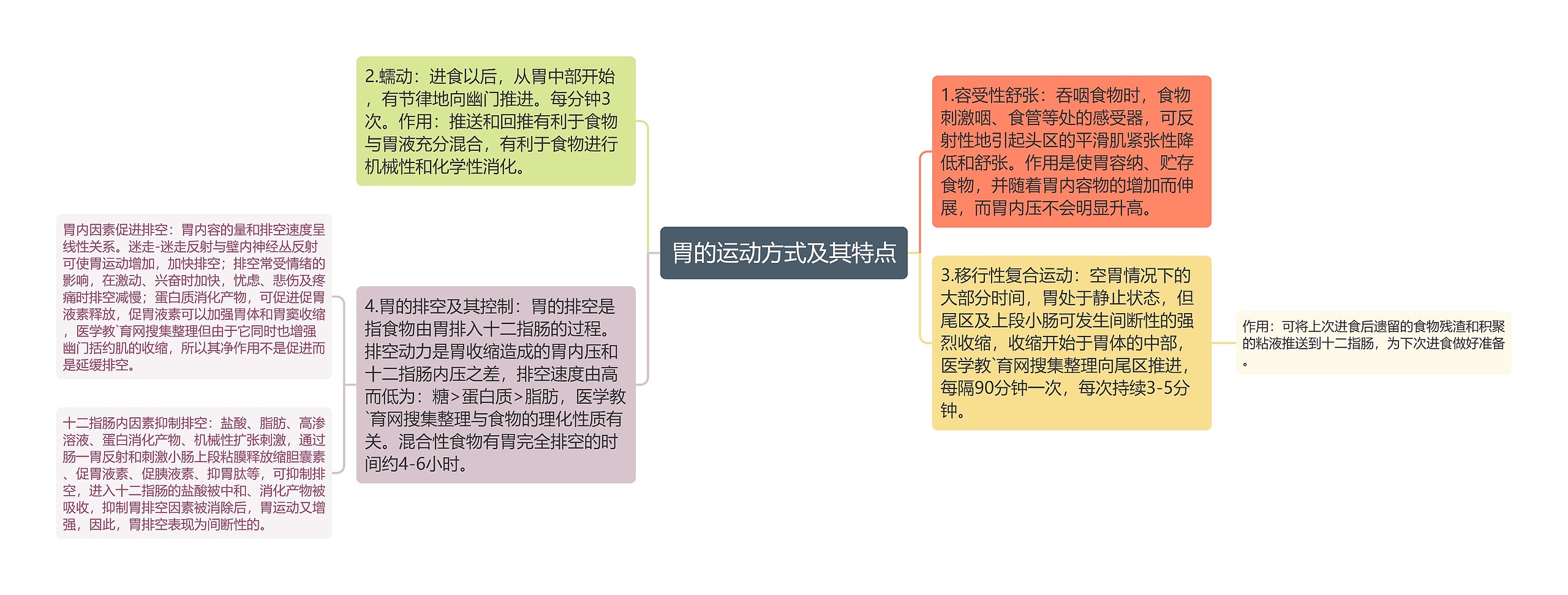 胃的运动方式及其特点思维导图