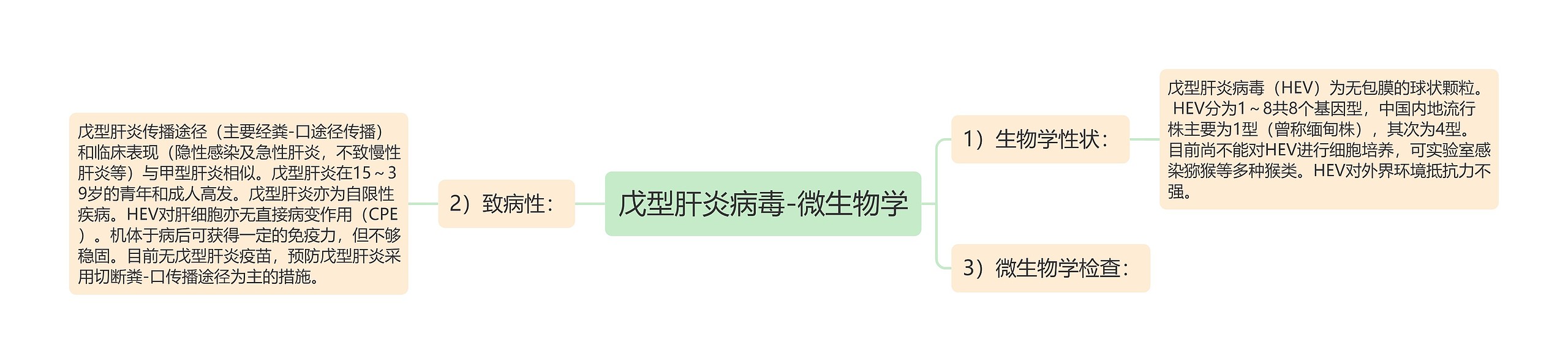 戊型肝炎病毒-微生物学思维导图