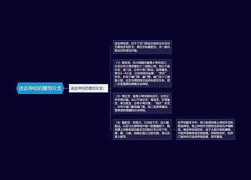 迷走神经的腹部分支