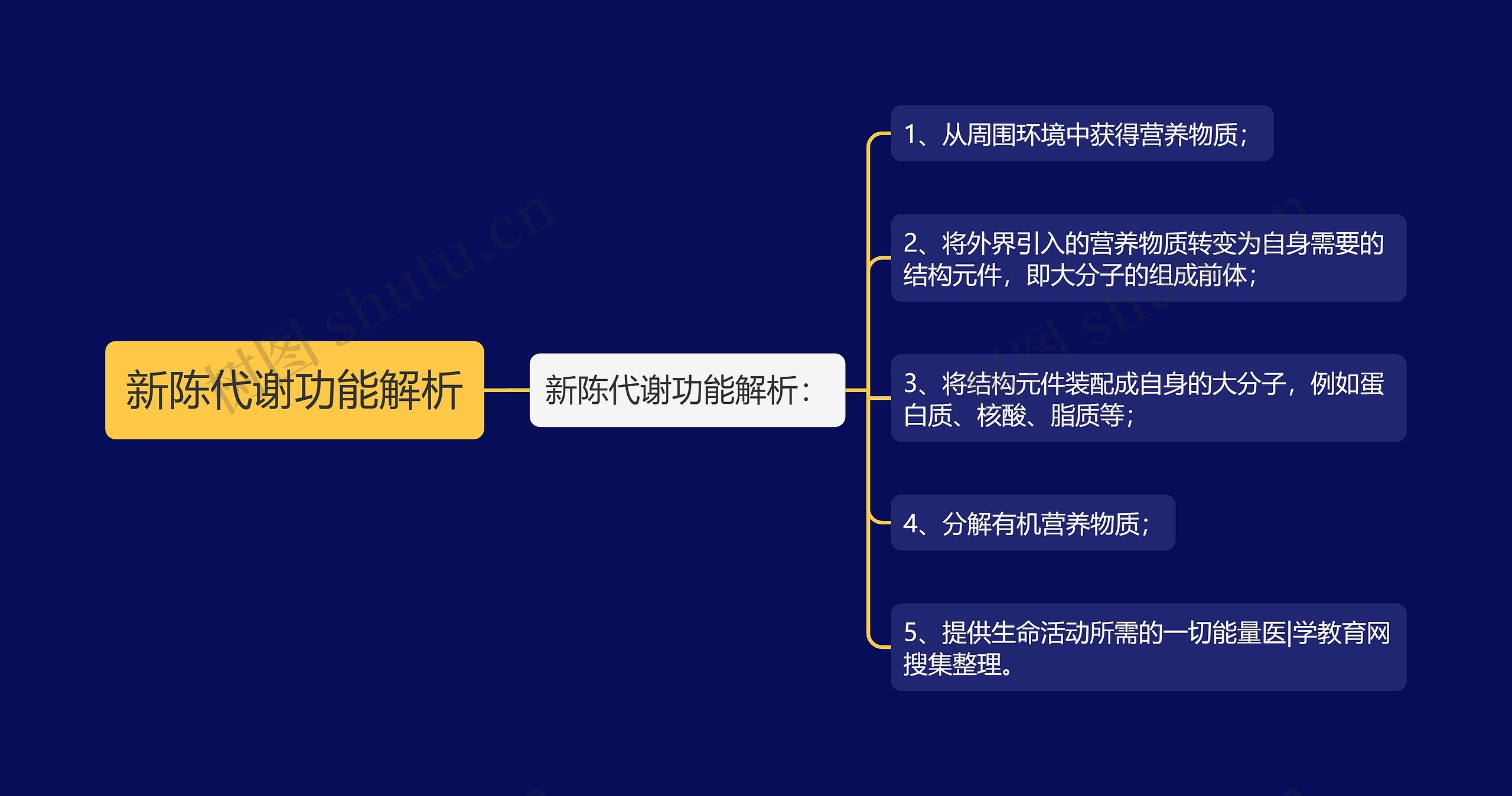 新陈代谢功能解析思维导图