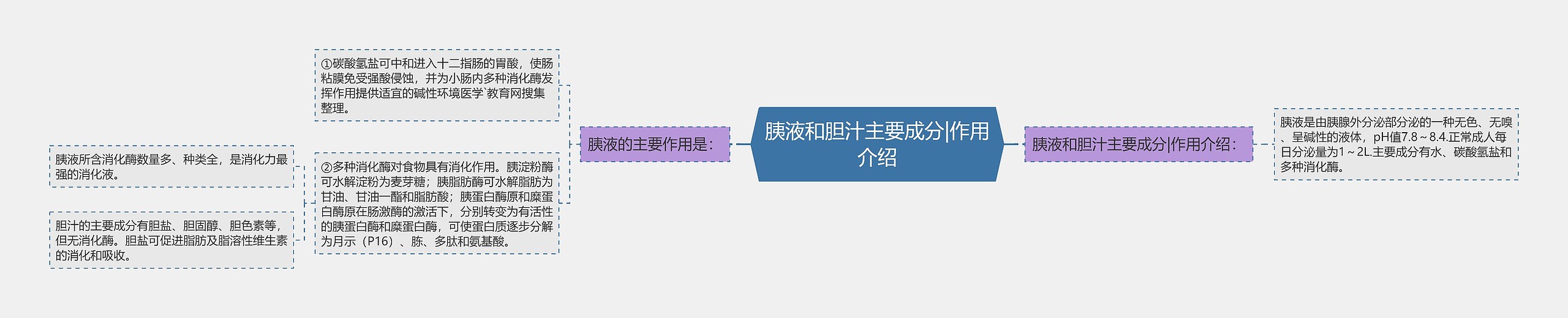 胰液和胆汁主要成分|作用介绍思维导图