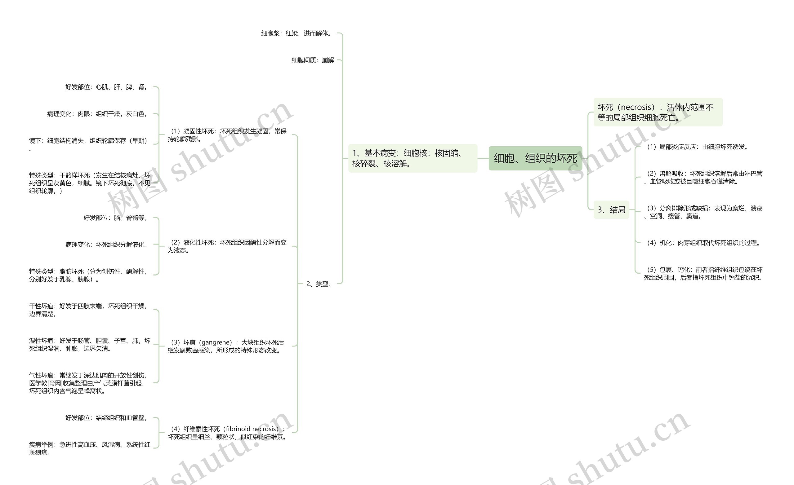 细胞、组织的坏死思维导图