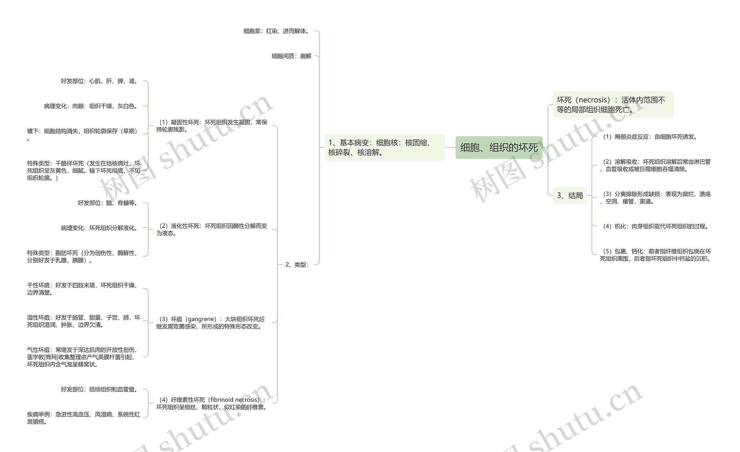细胞、组织的坏死 细胞、组织的坏死