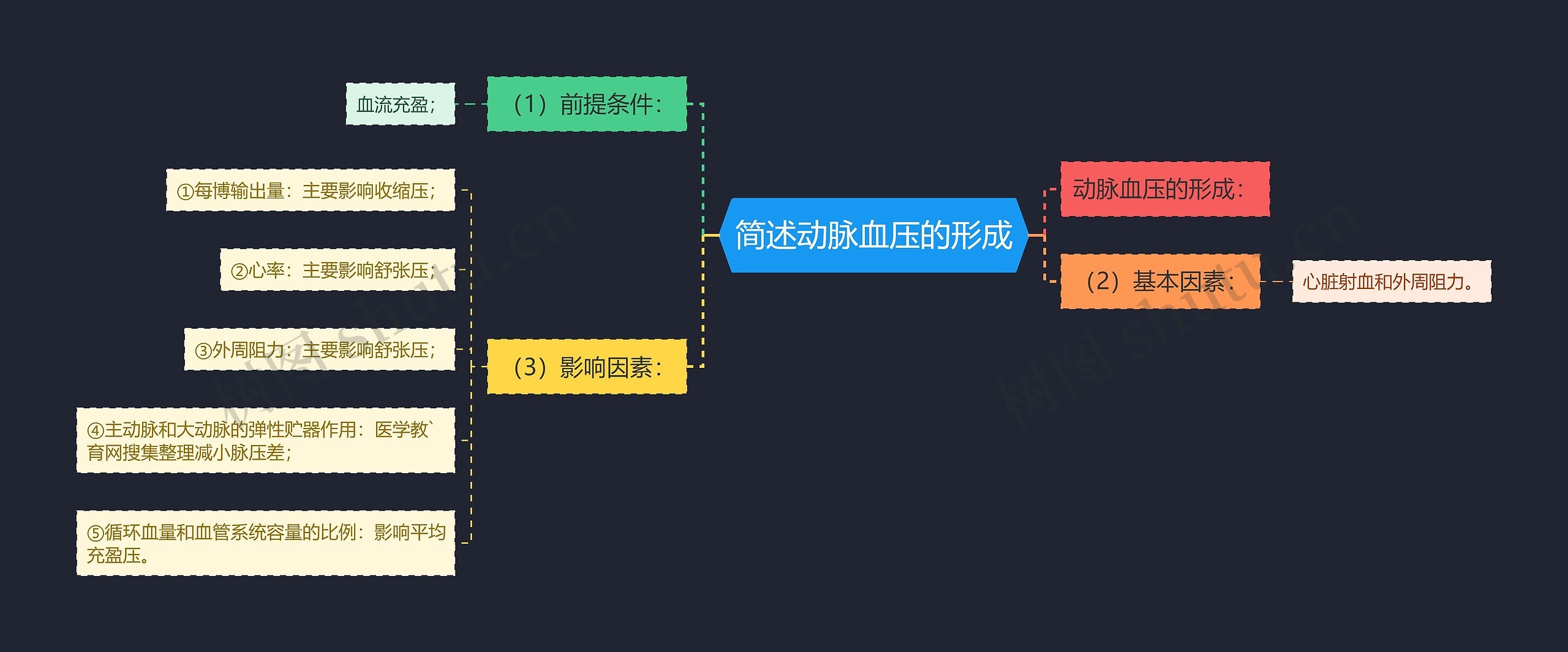 简述动脉血压的形成思维导图